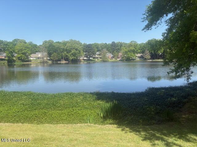 103 Woodmoor Cove Property Photo 30