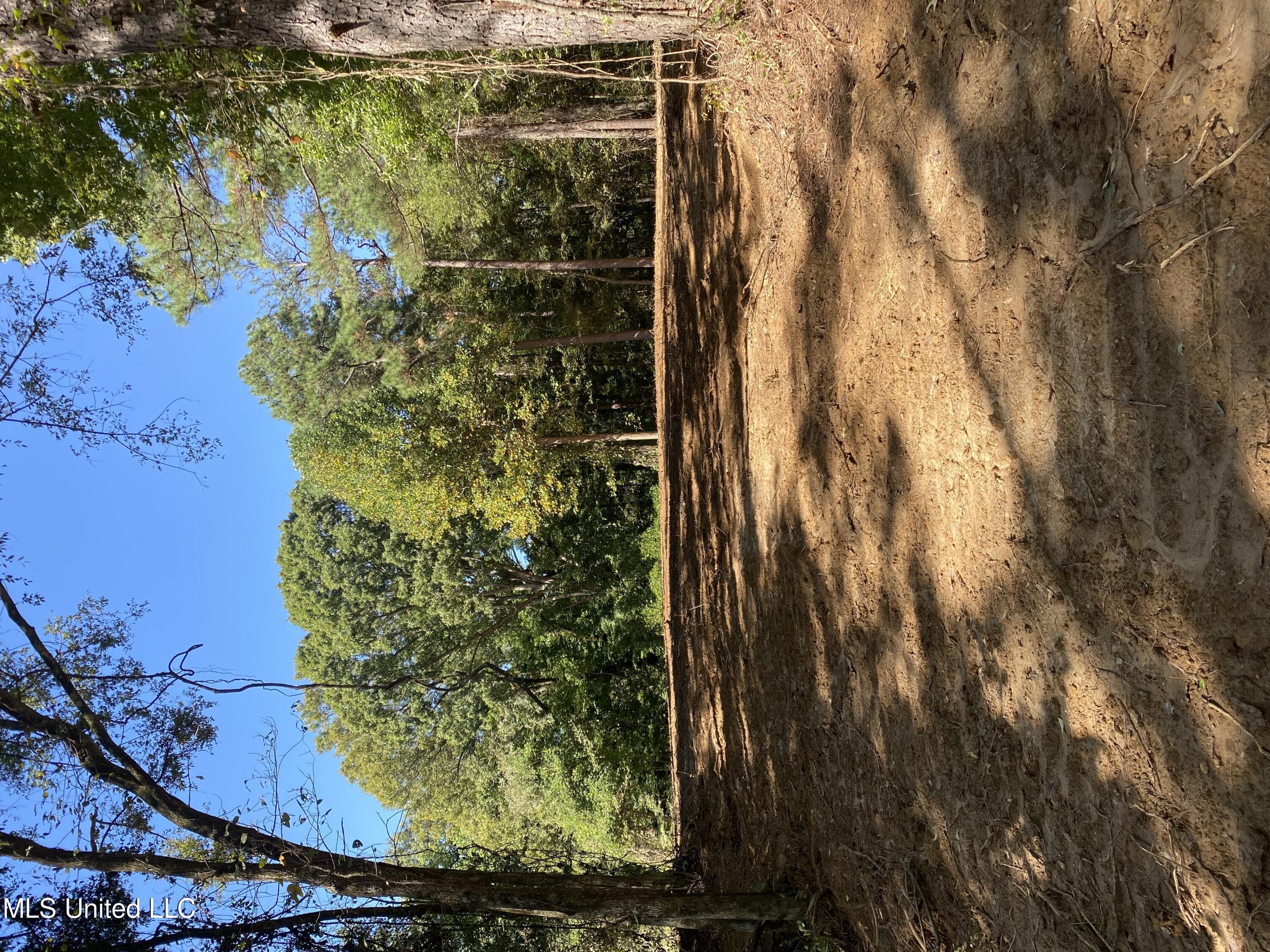 O Bluff Road Property Photo 1