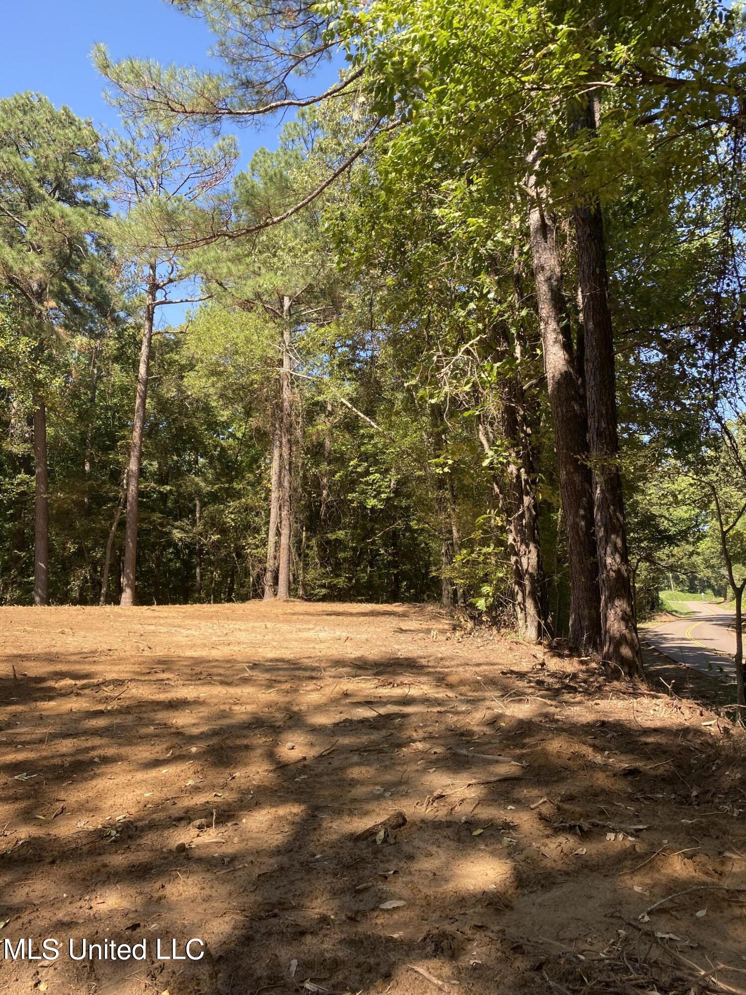 O Bluff Road Property Photo 2