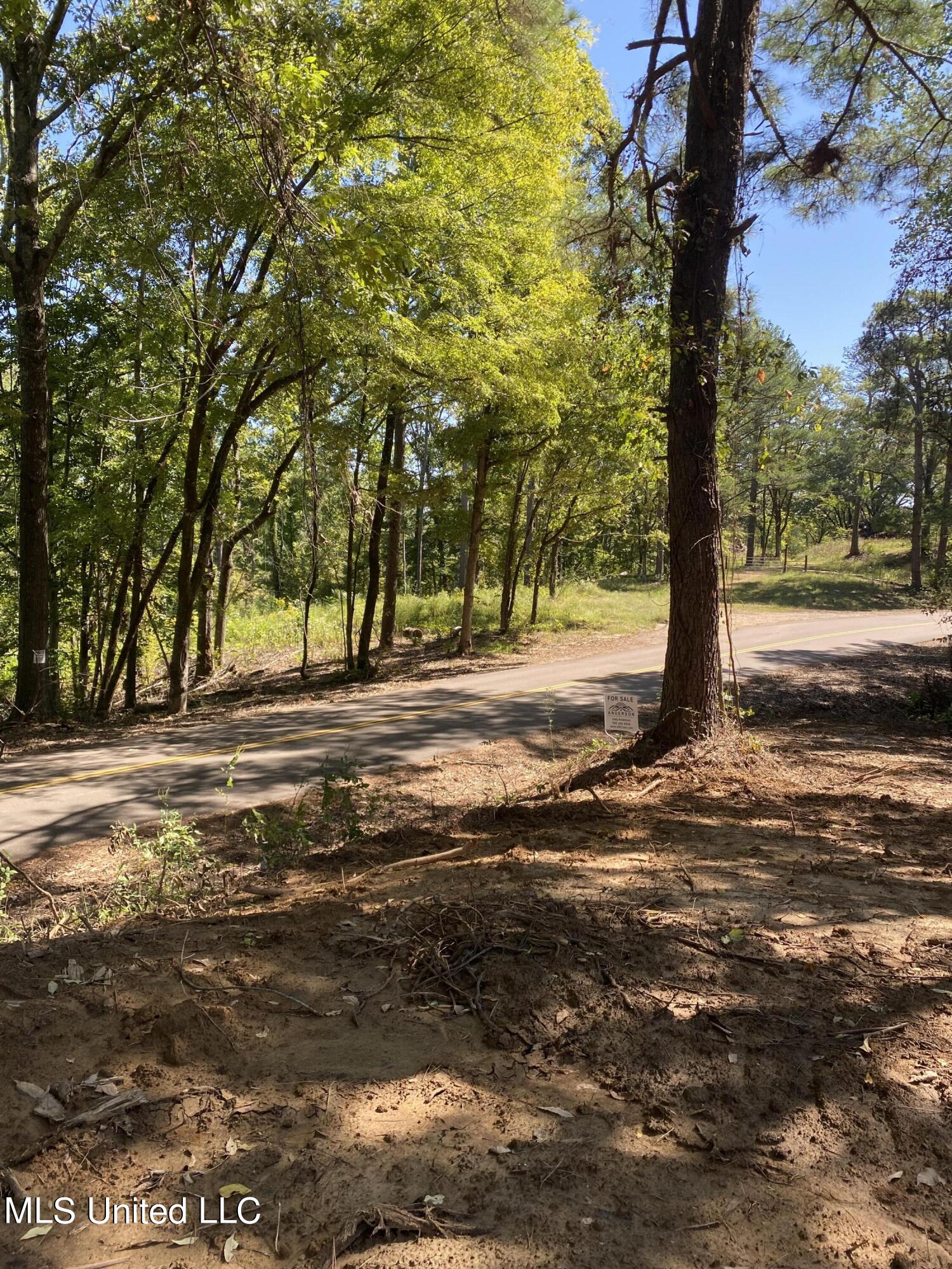 O Bluff Road Property Photo 3