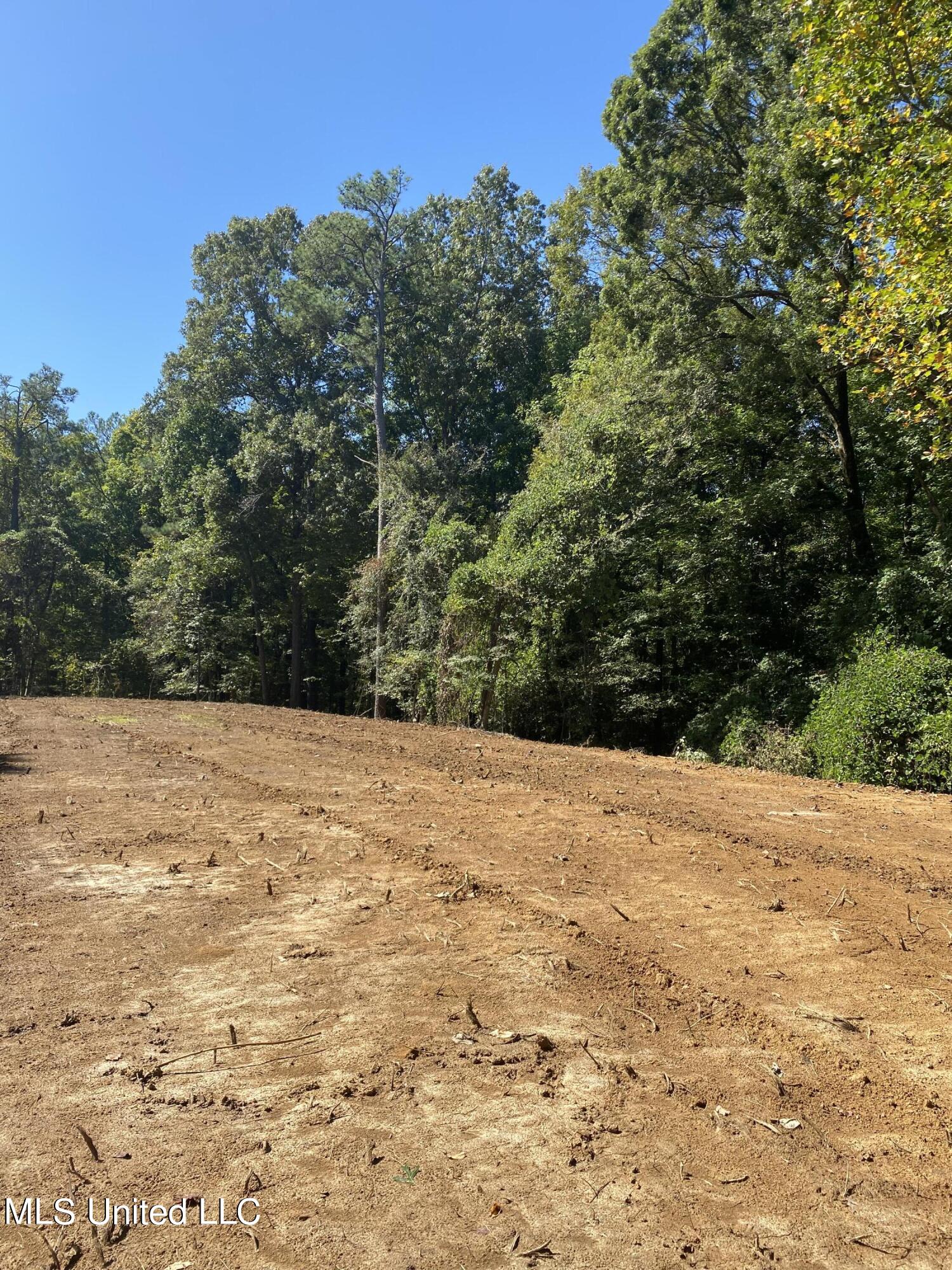 O Bluff Road Property Photo 6