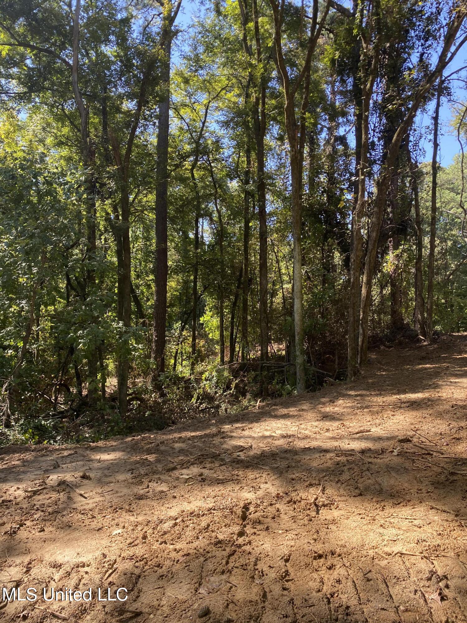 O Bluff Road Property Photo 8