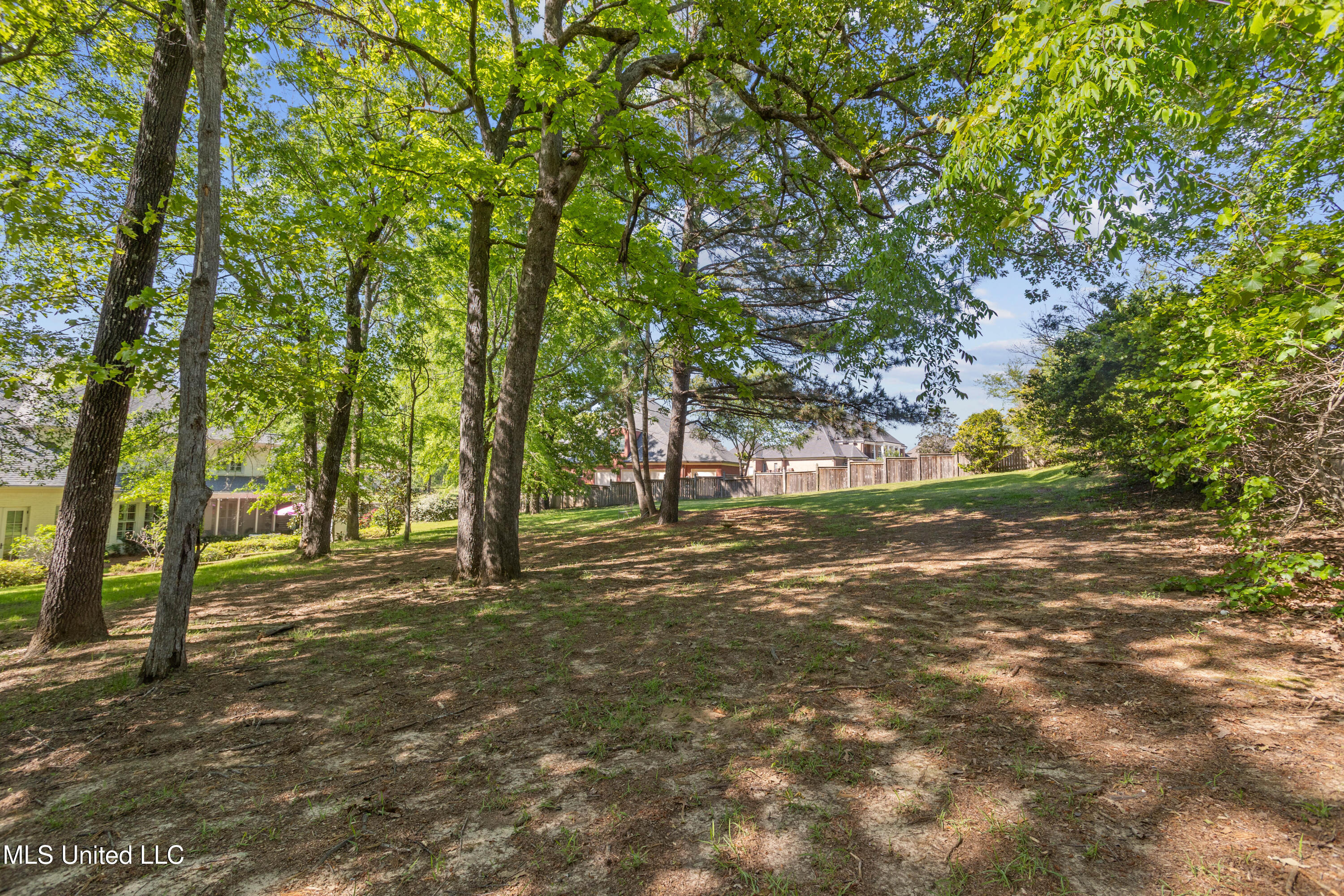 124 Bridgewater Crossing Property Photo 51