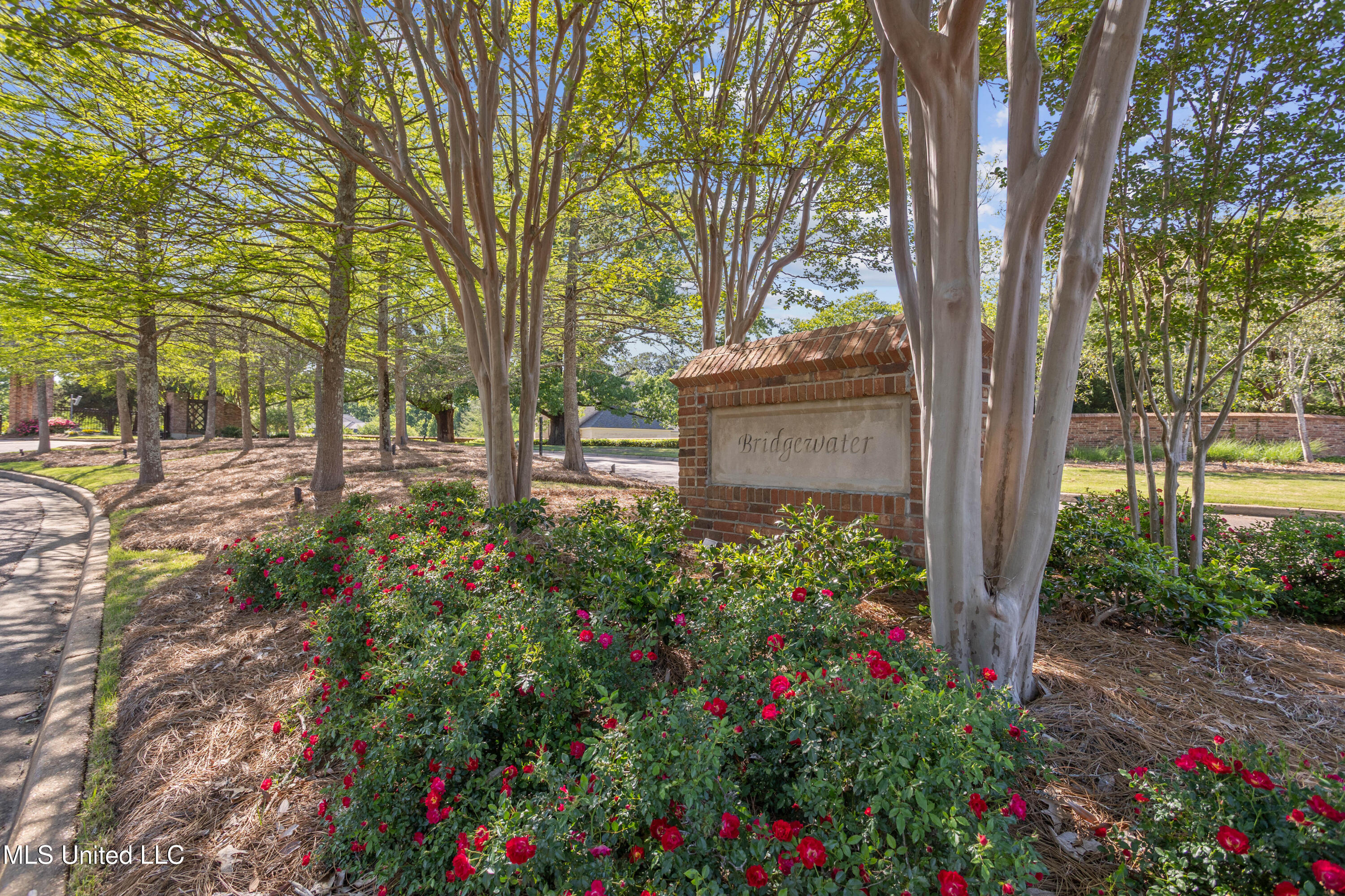 124 Bridgewater Crossing Property Photo 55