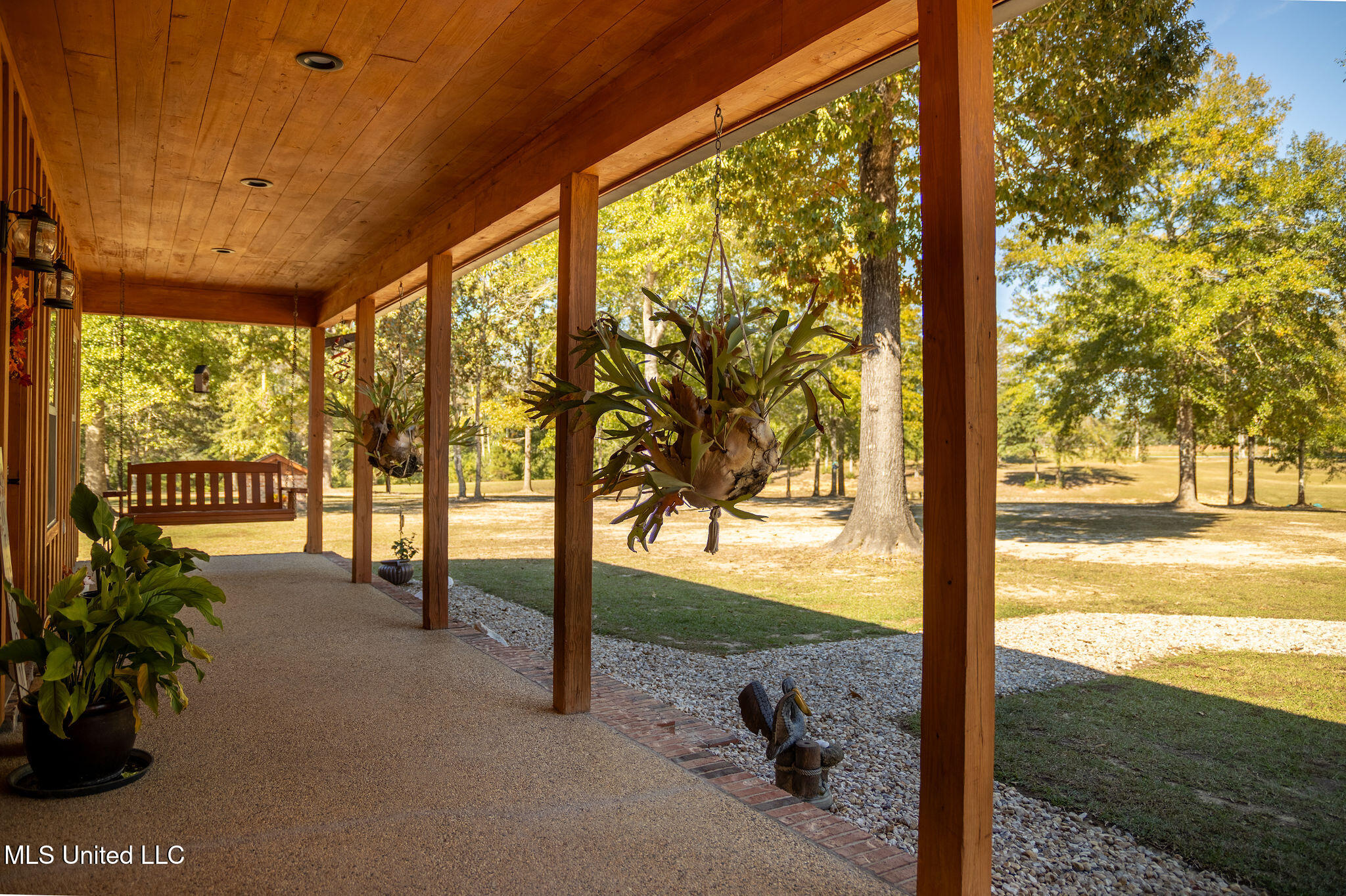 9900 Little Buck Property Photo 6