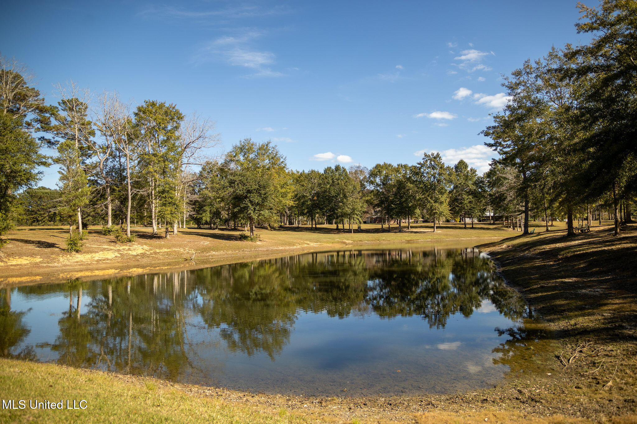 9900 Little Buck Property Photo 15