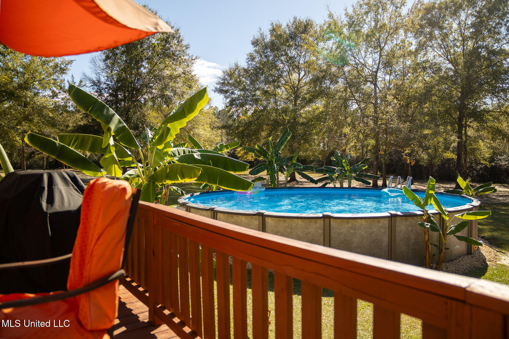 9900 Little Buck Property Photo 20