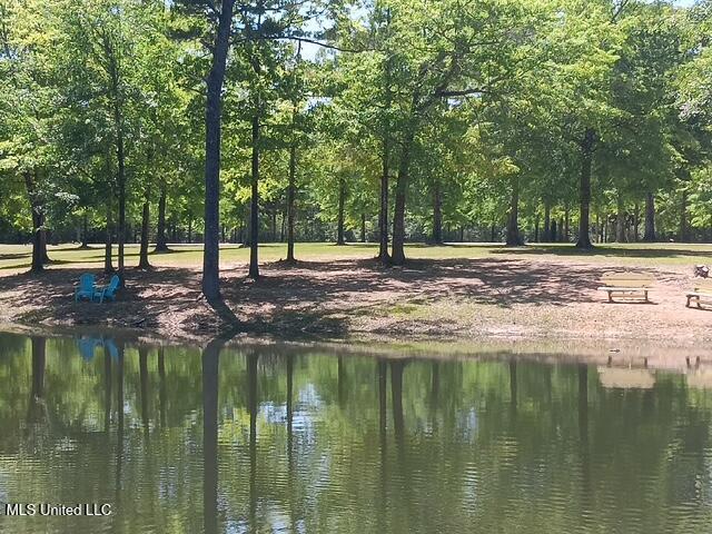 9900 Little Buck Property Photo 62