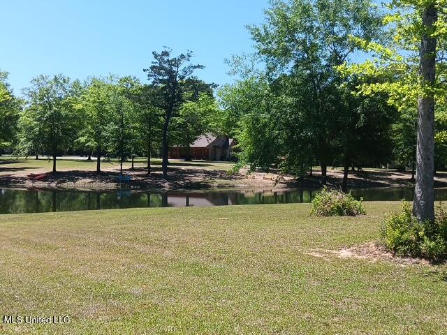 9900 Little Buck Property Photo 63