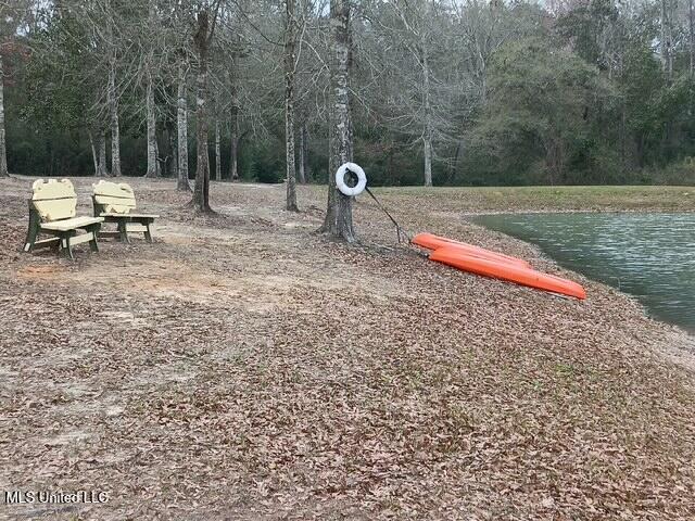 9900 Little Buck Property Photo 64