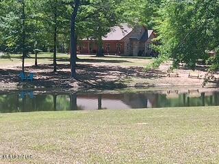 9900 Little Buck Property Photo 65