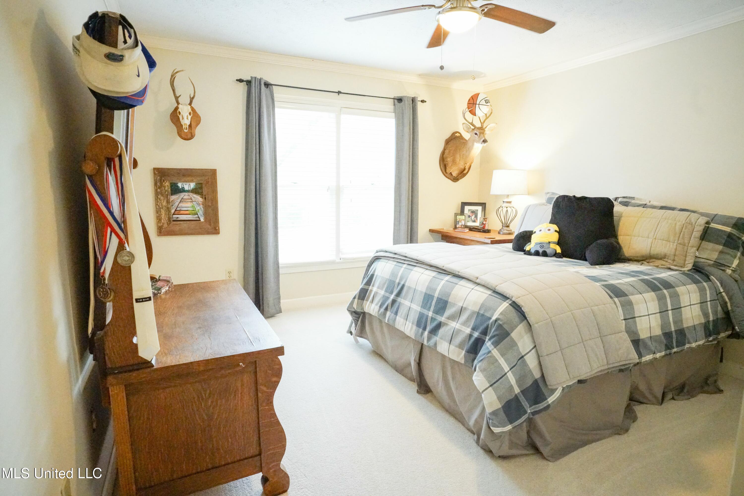 908 Newland Street Property Photo 30