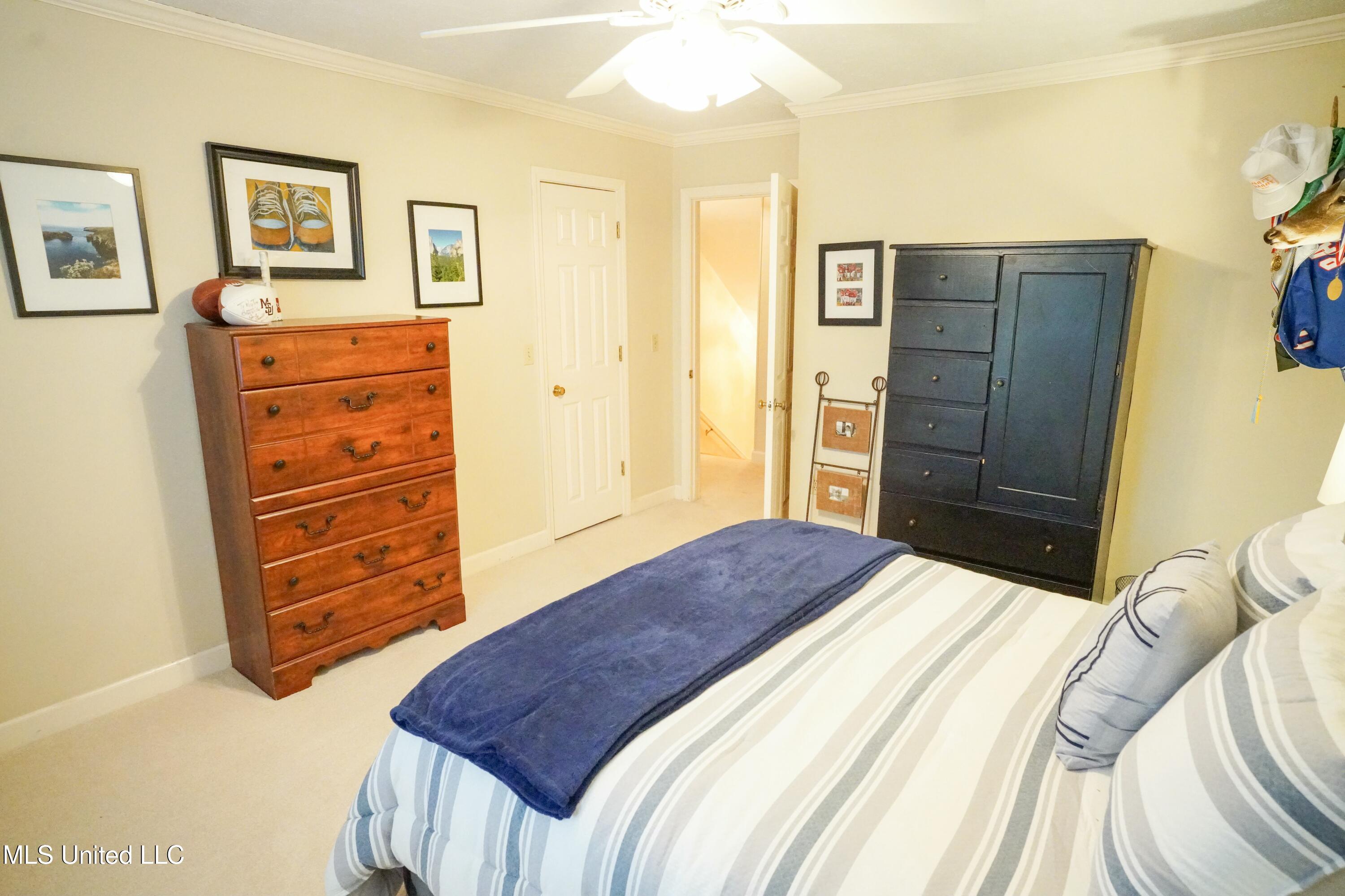 908 Newland Street Property Photo 37