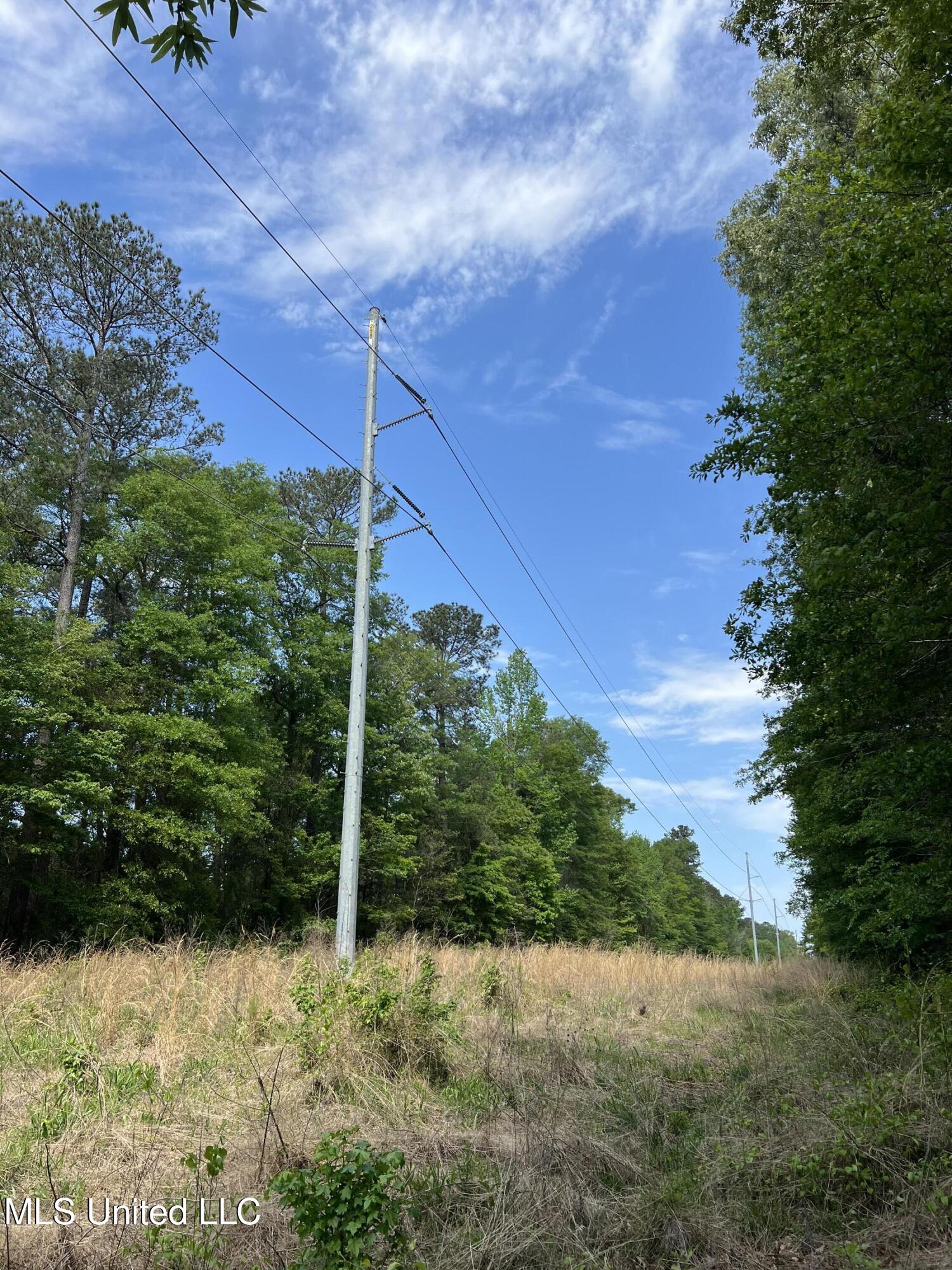 Hwy 49 Property Photo 5