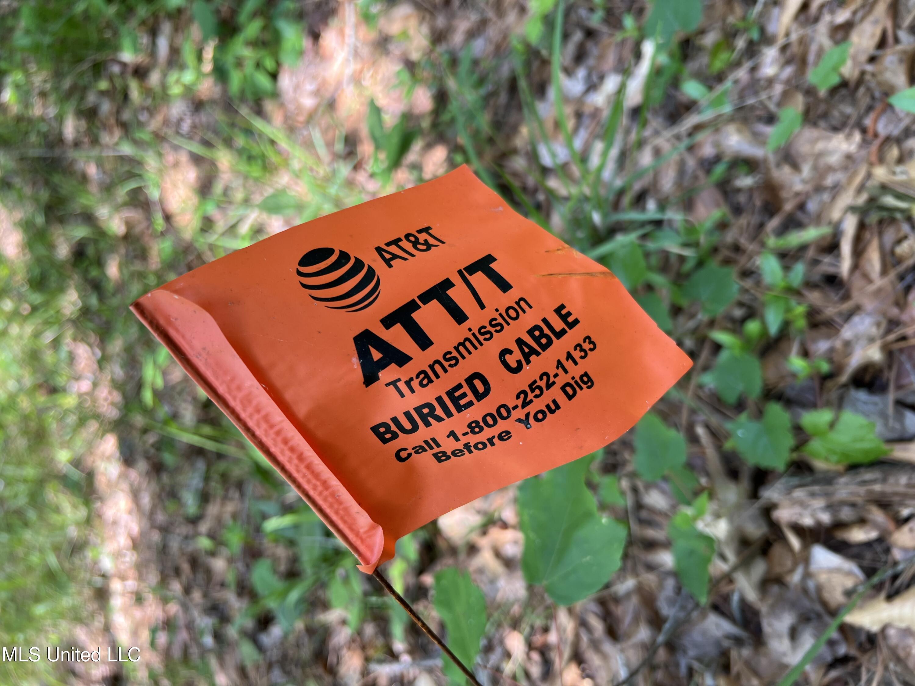 Hwy 49 Property Photo 6