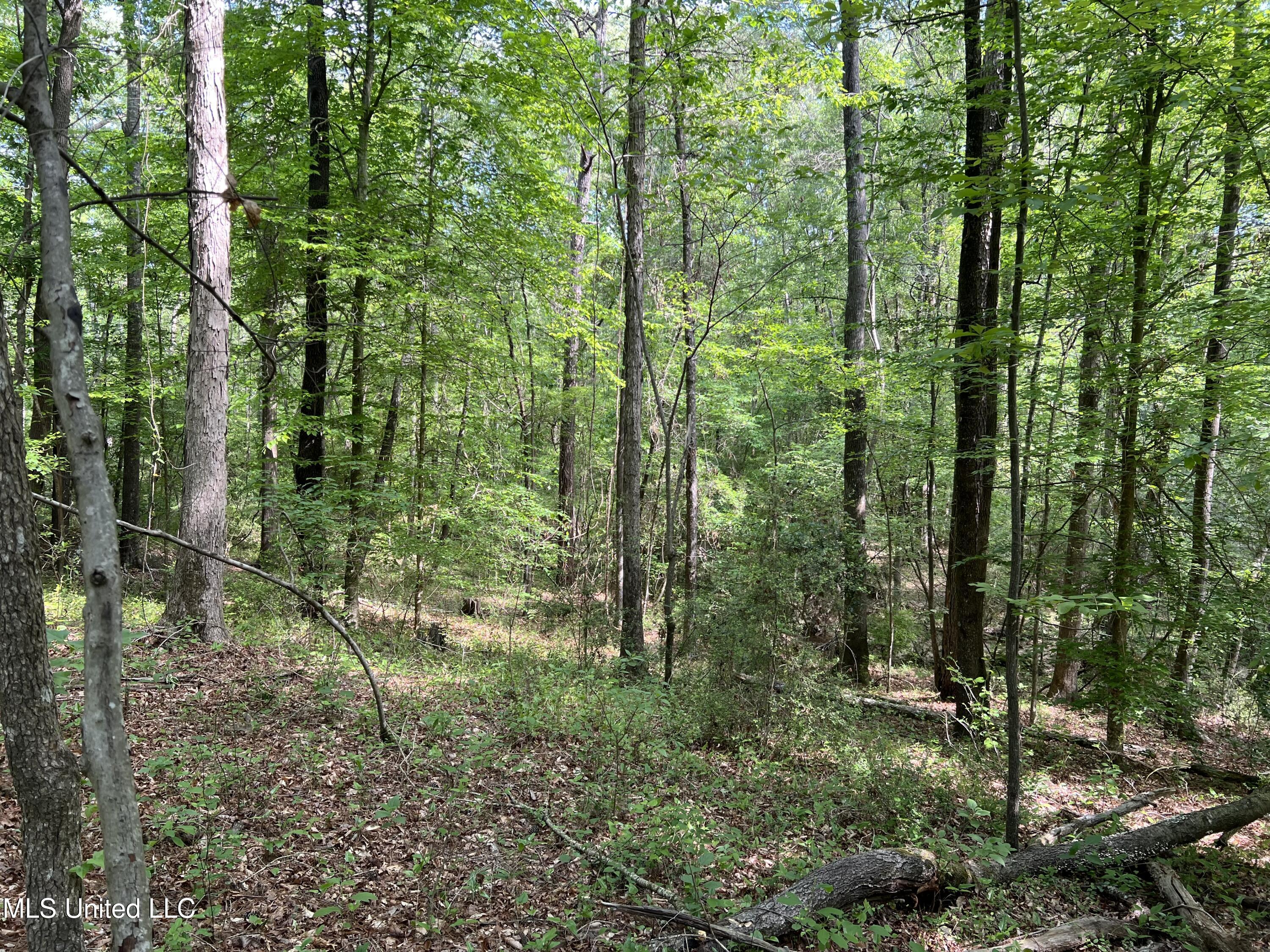 Hwy 49 Property Photo 8