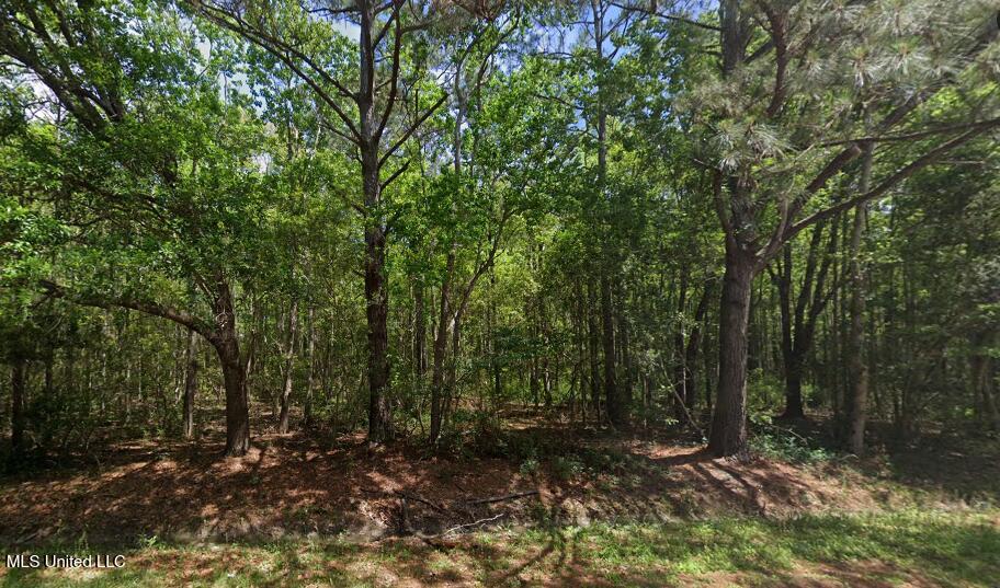 0 Petite Acres Drive Property Photo 1