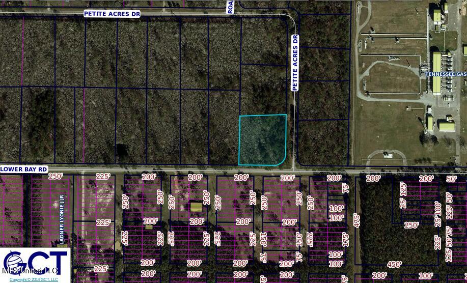 01 Petite Acres Drive Property Photo 2