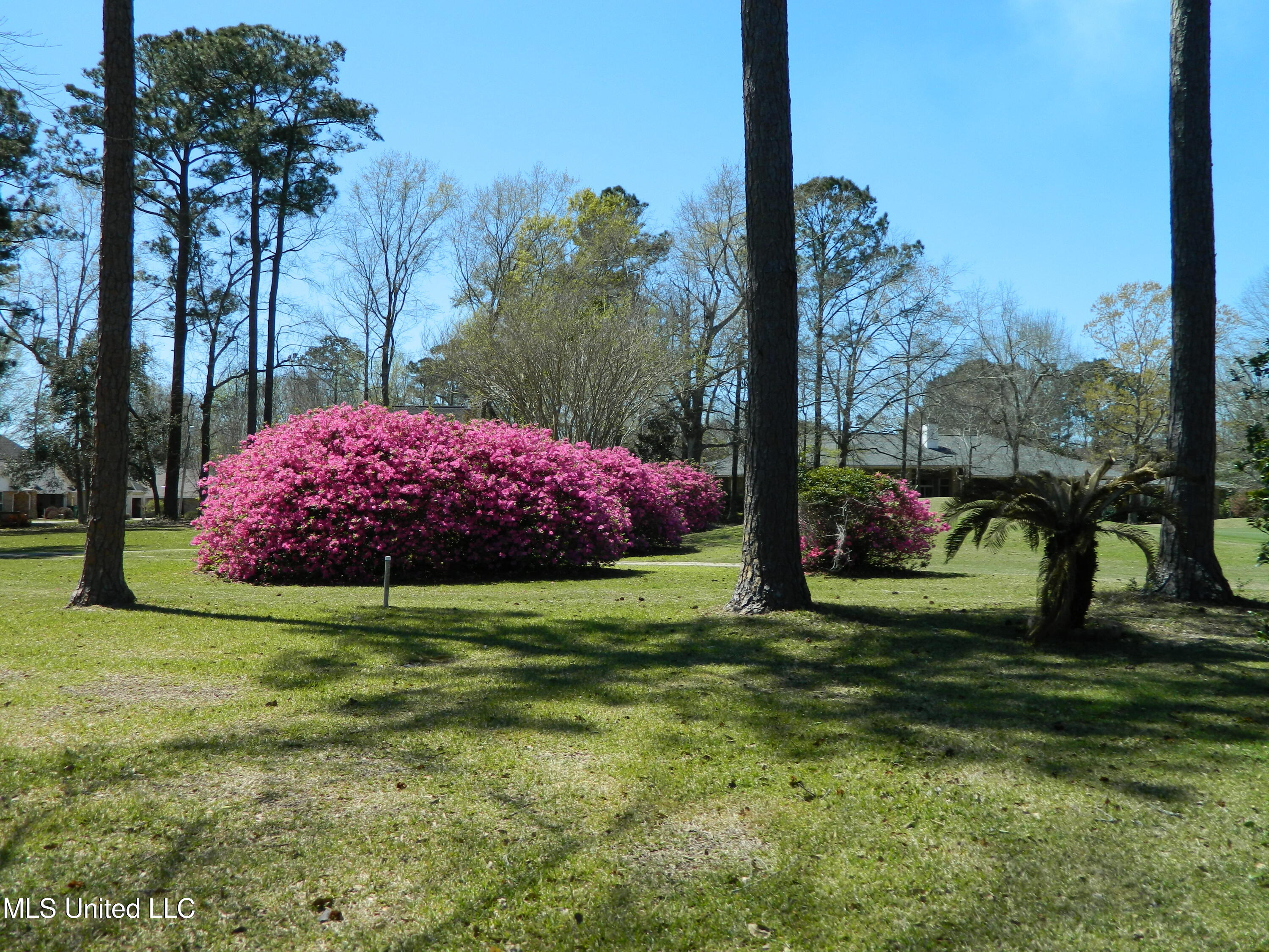7922 Lanai Place Property Photo 5
