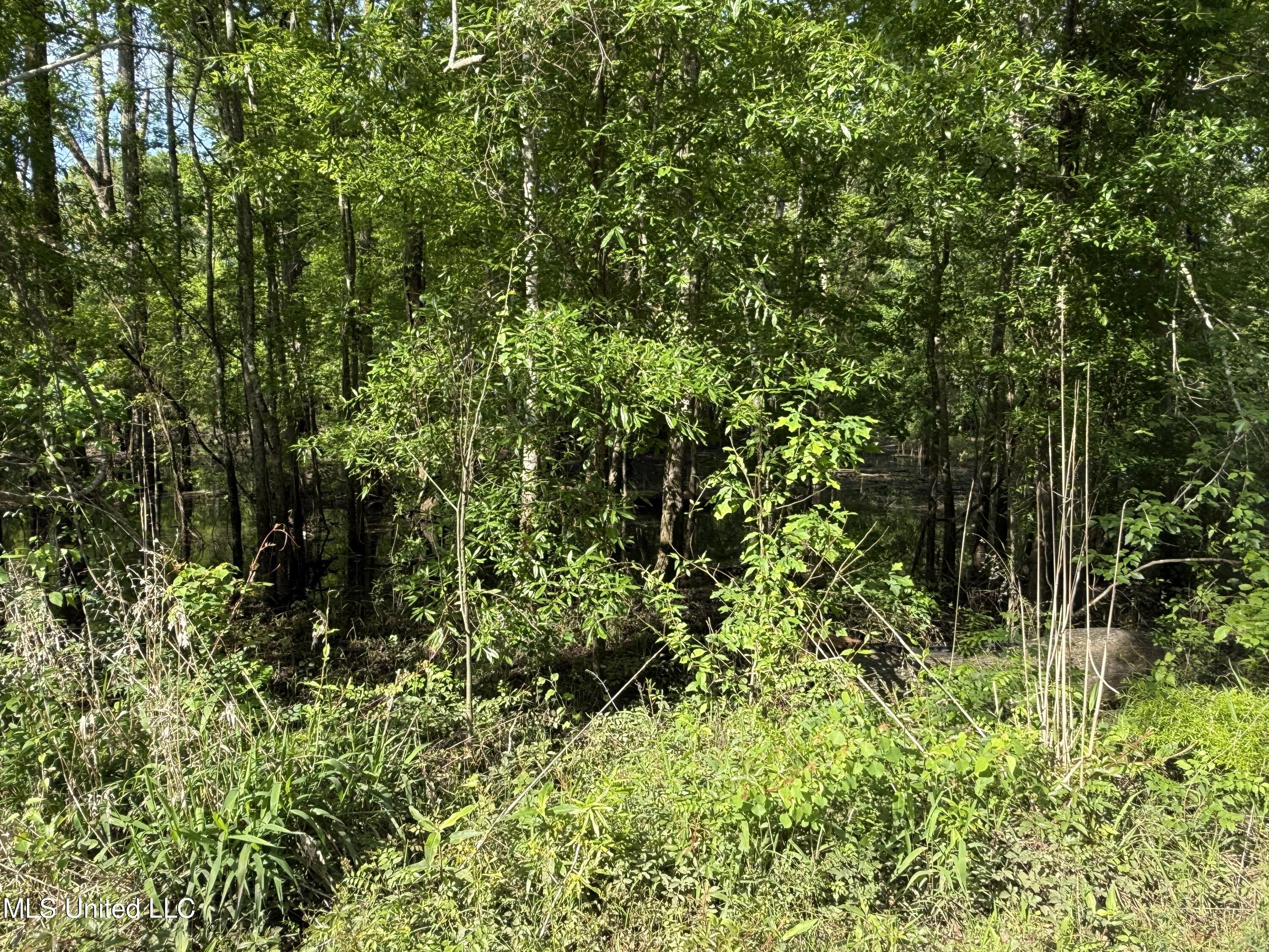 Nhn Maple Dr Property Photo 2