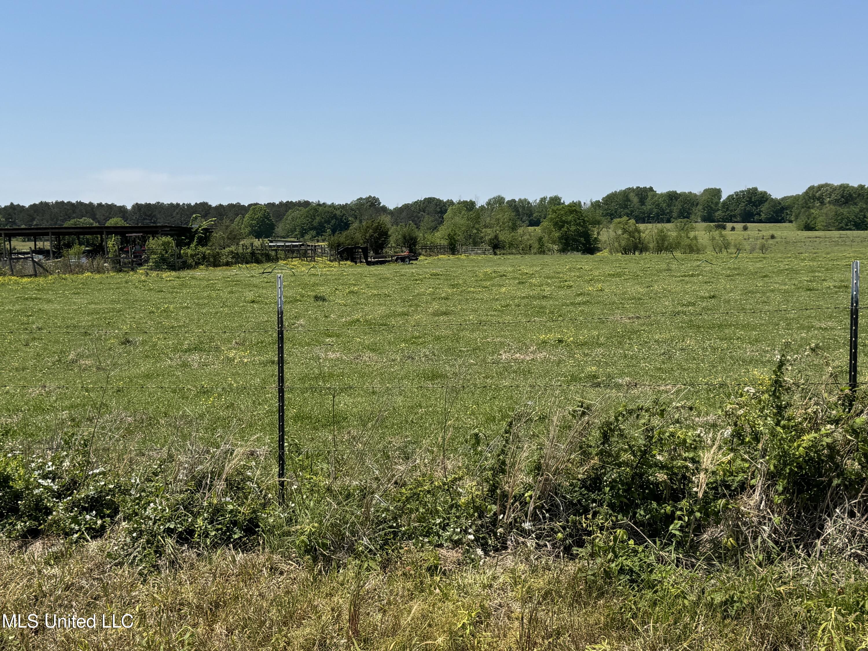 331 D Williams Road Property Photo 3