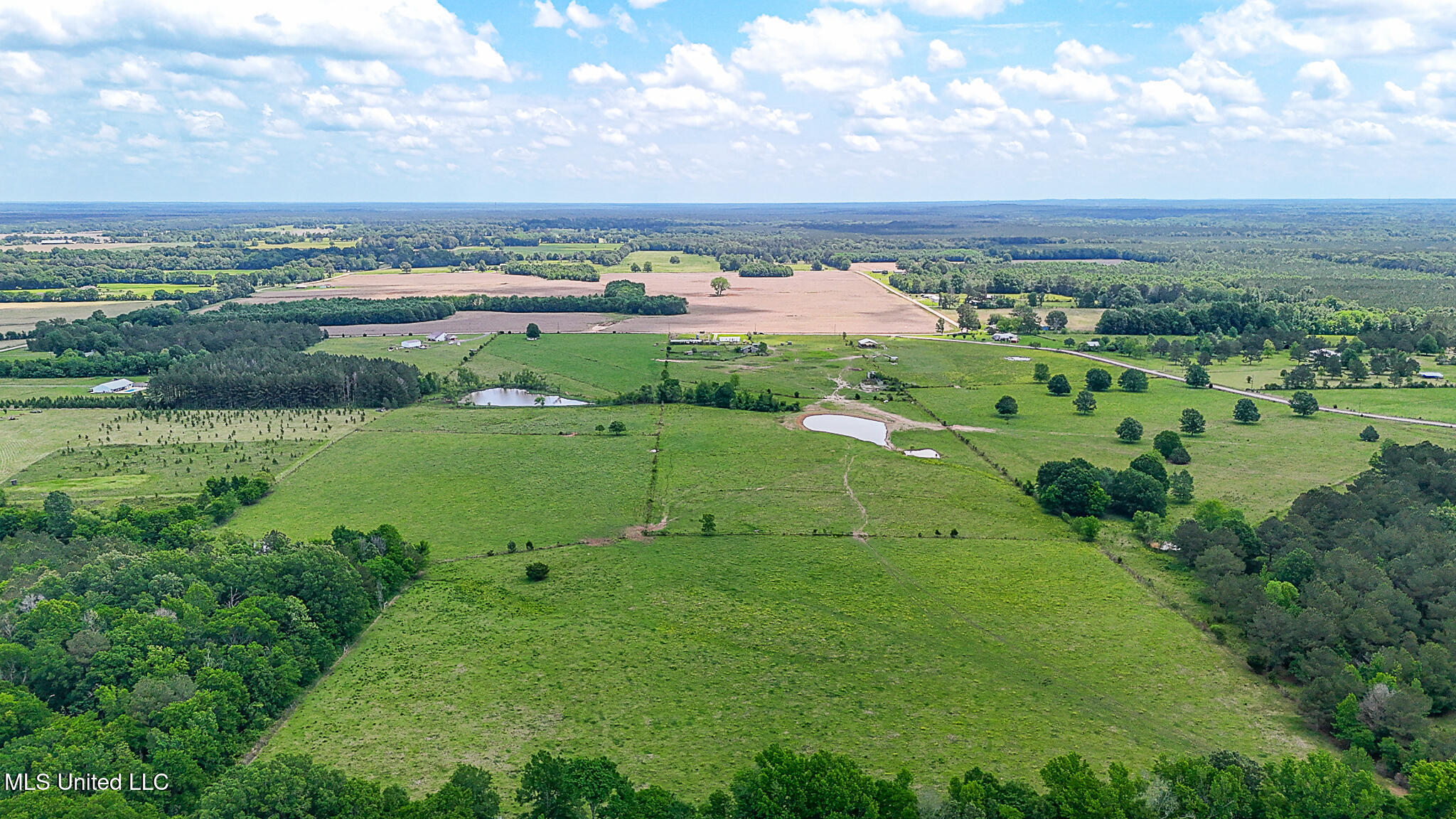 331 D Williams Road Property Photo 13