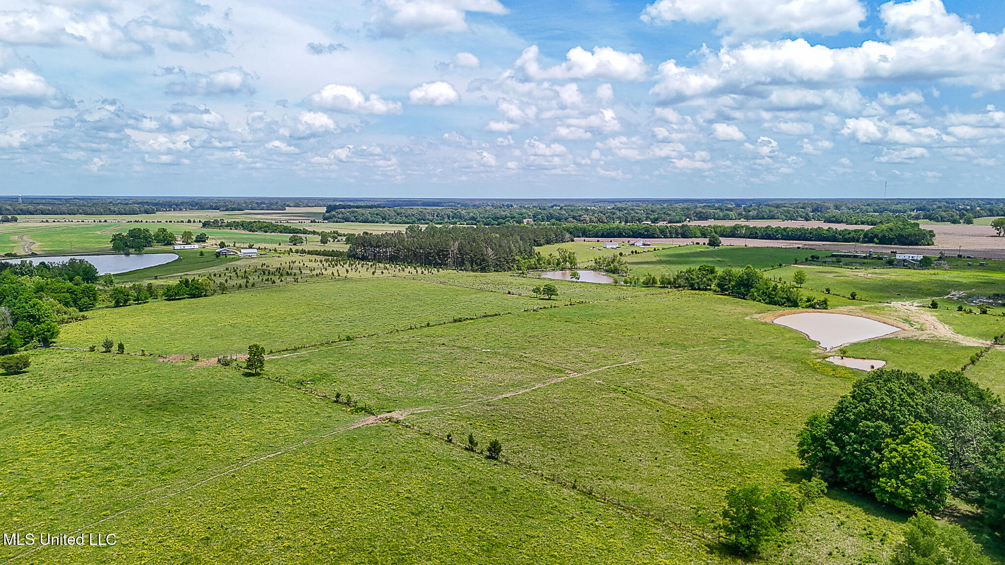 331 D Williams Road Property Photo 14