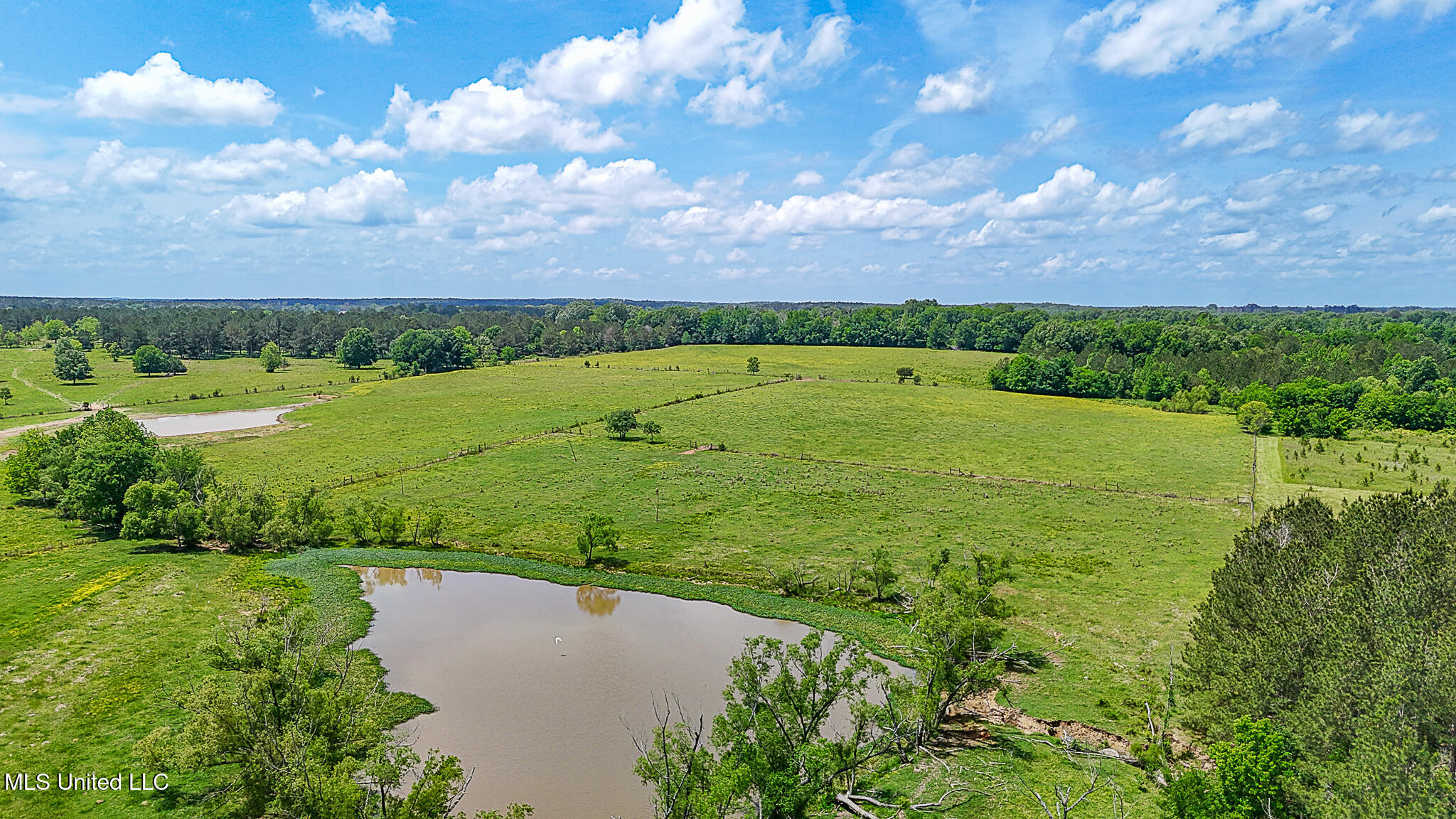 331 D Williams Road Property Photo 18