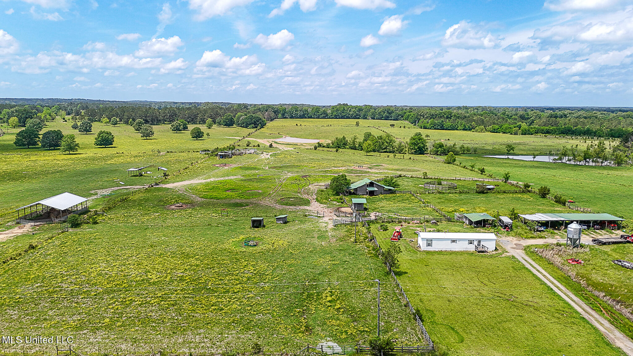 331 D Williams Road Property Photo 21