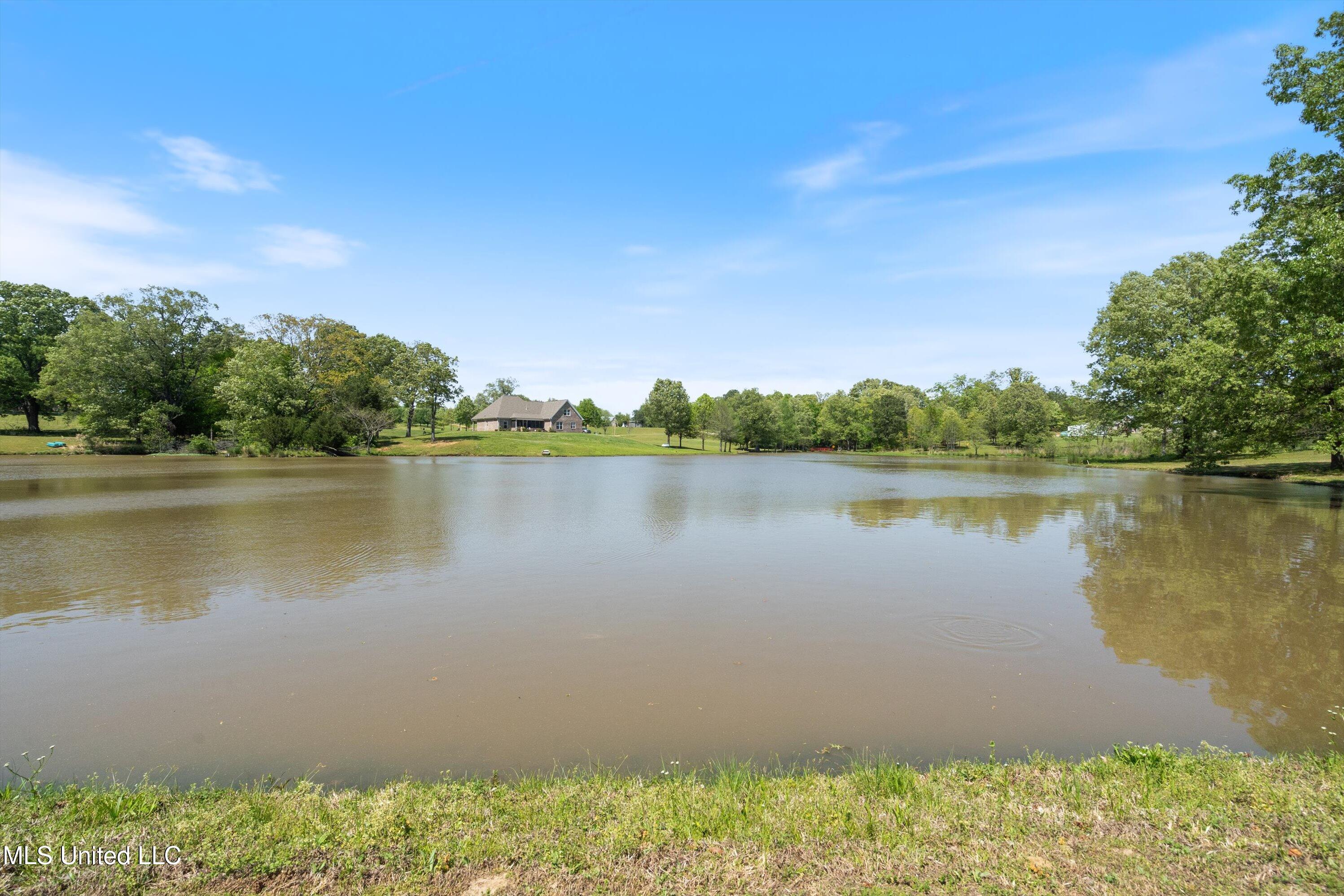 206 Swan Lk Drive Property Photo 11