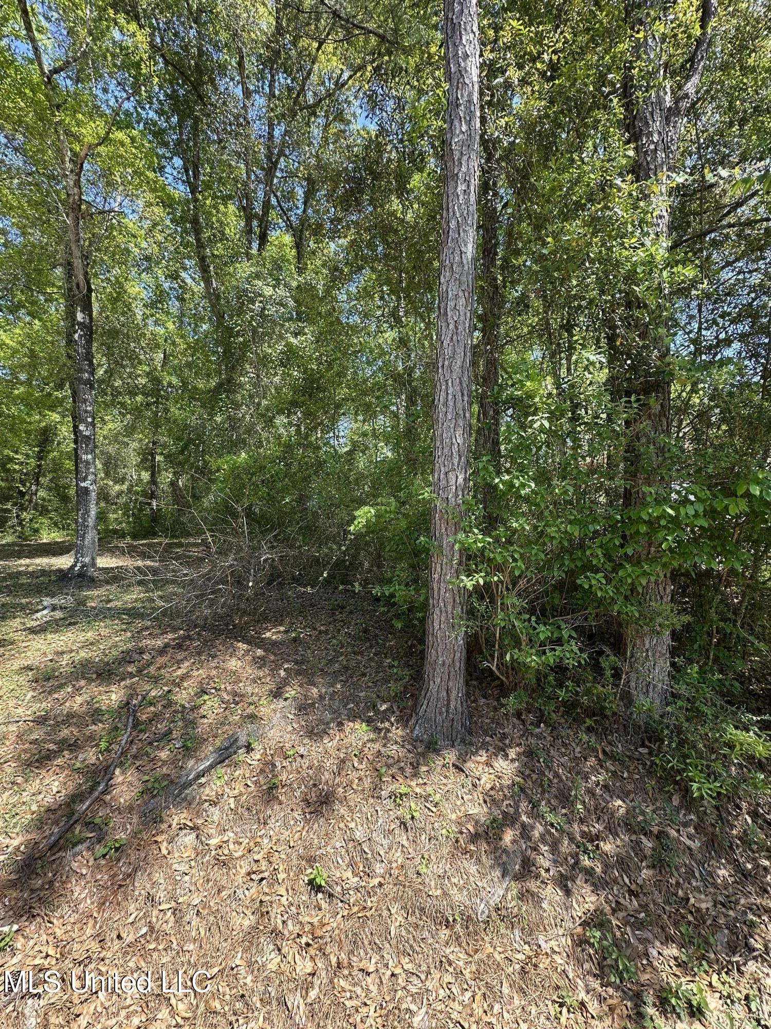 Kale Place Property Photo 1