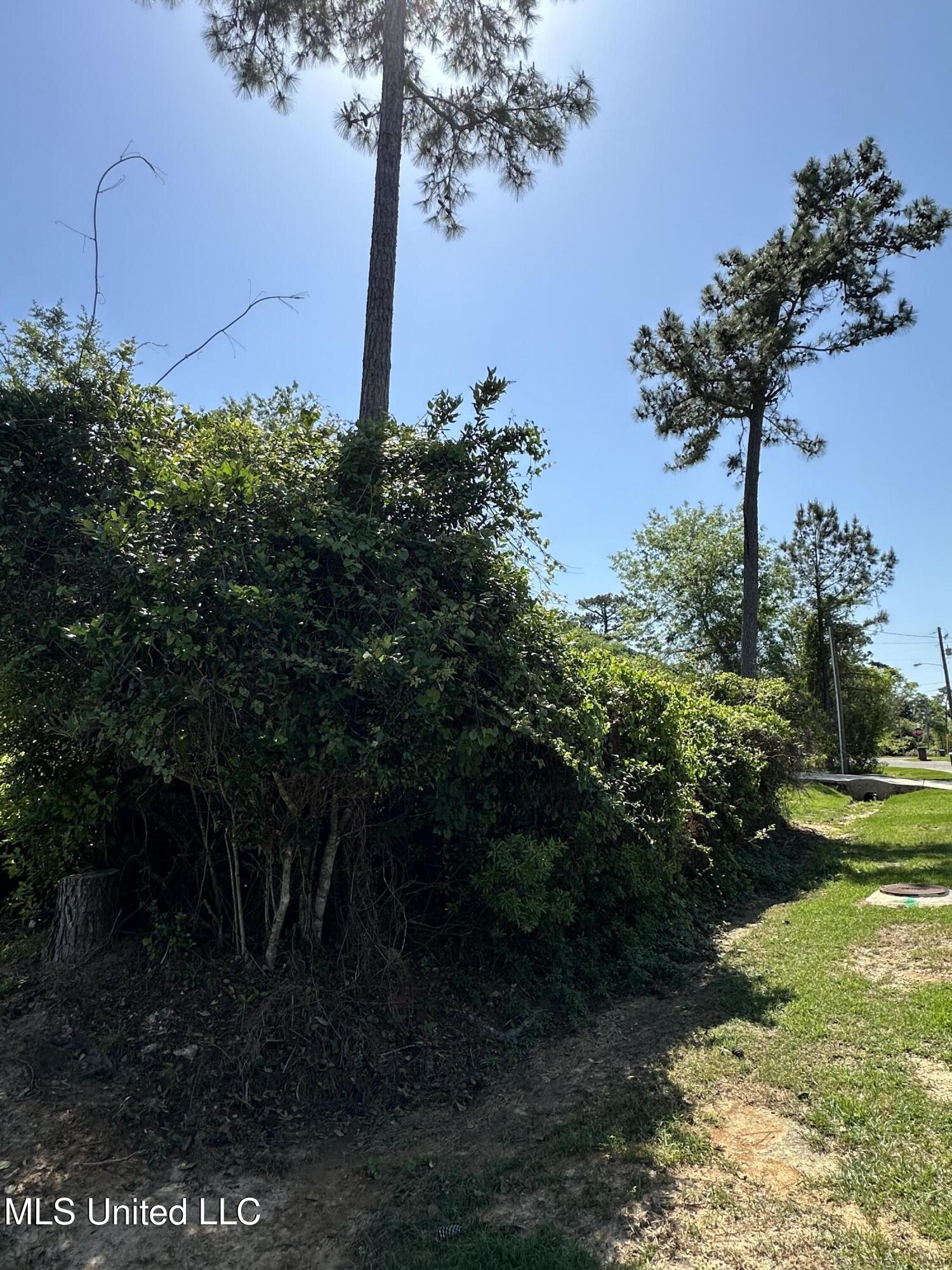 Poni Place Property Photo 2