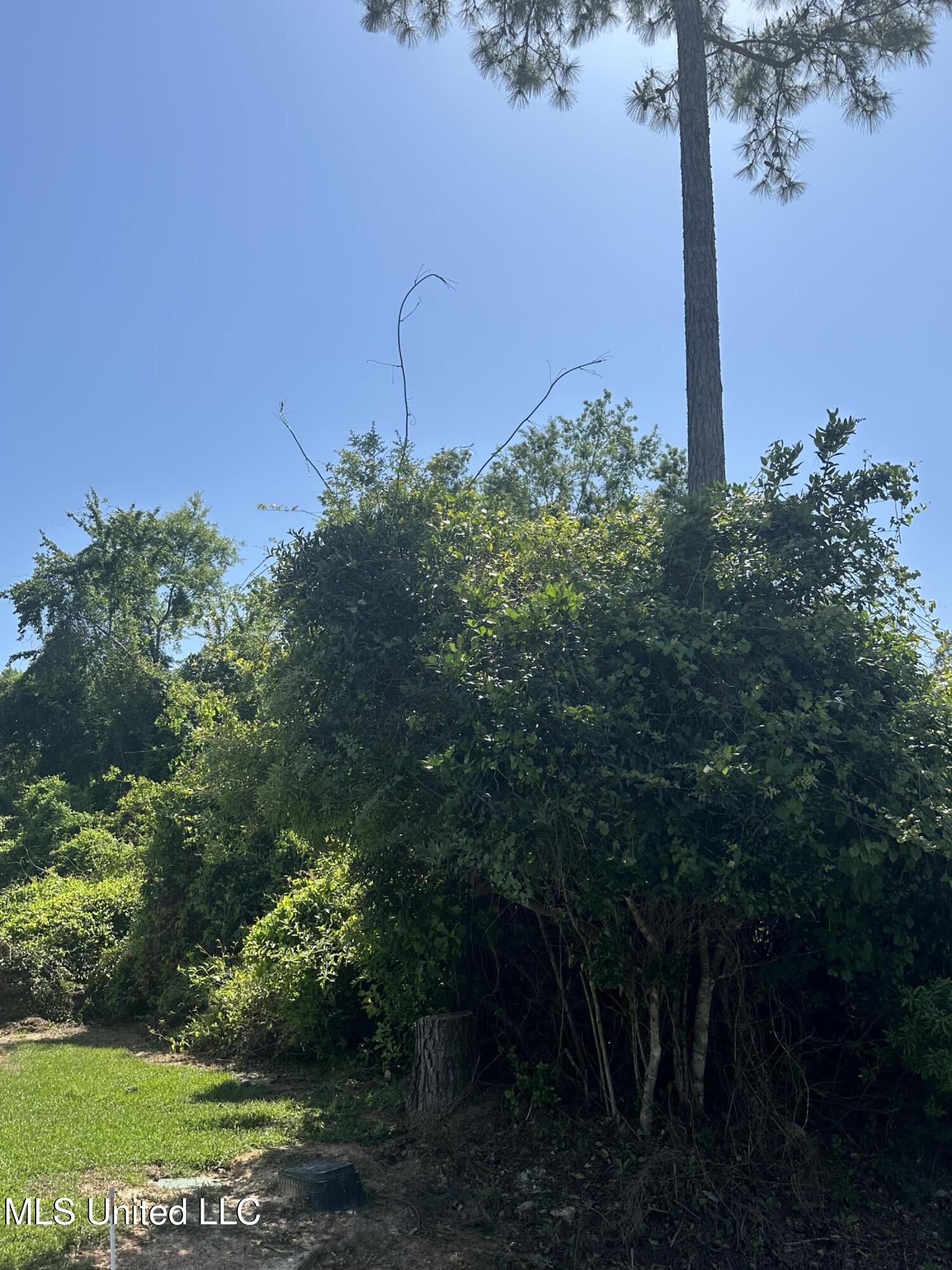 Poni Place Property Photo 3