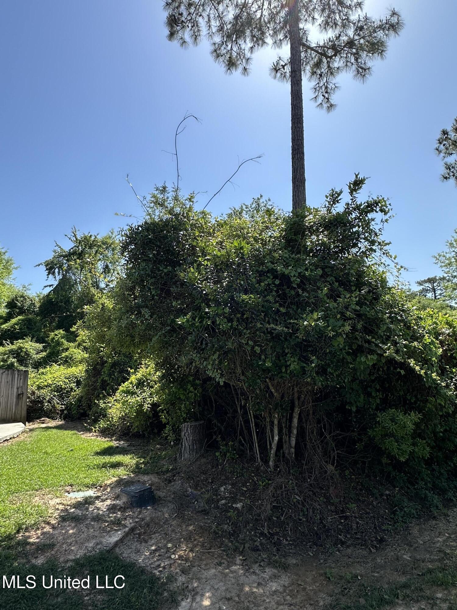 Poni Place Property Photo 4