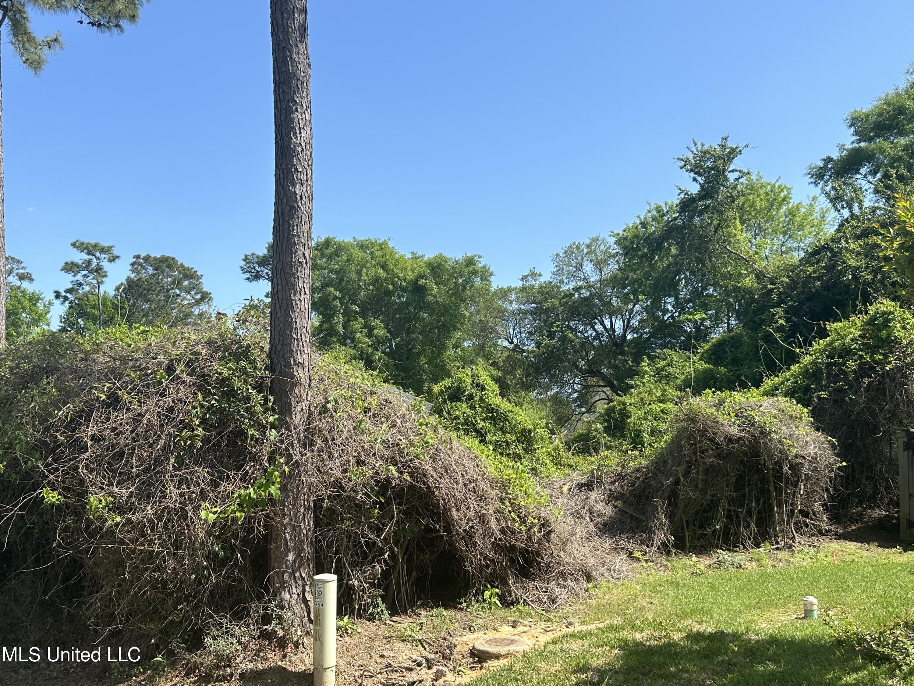 Poni Place Property Photo 5