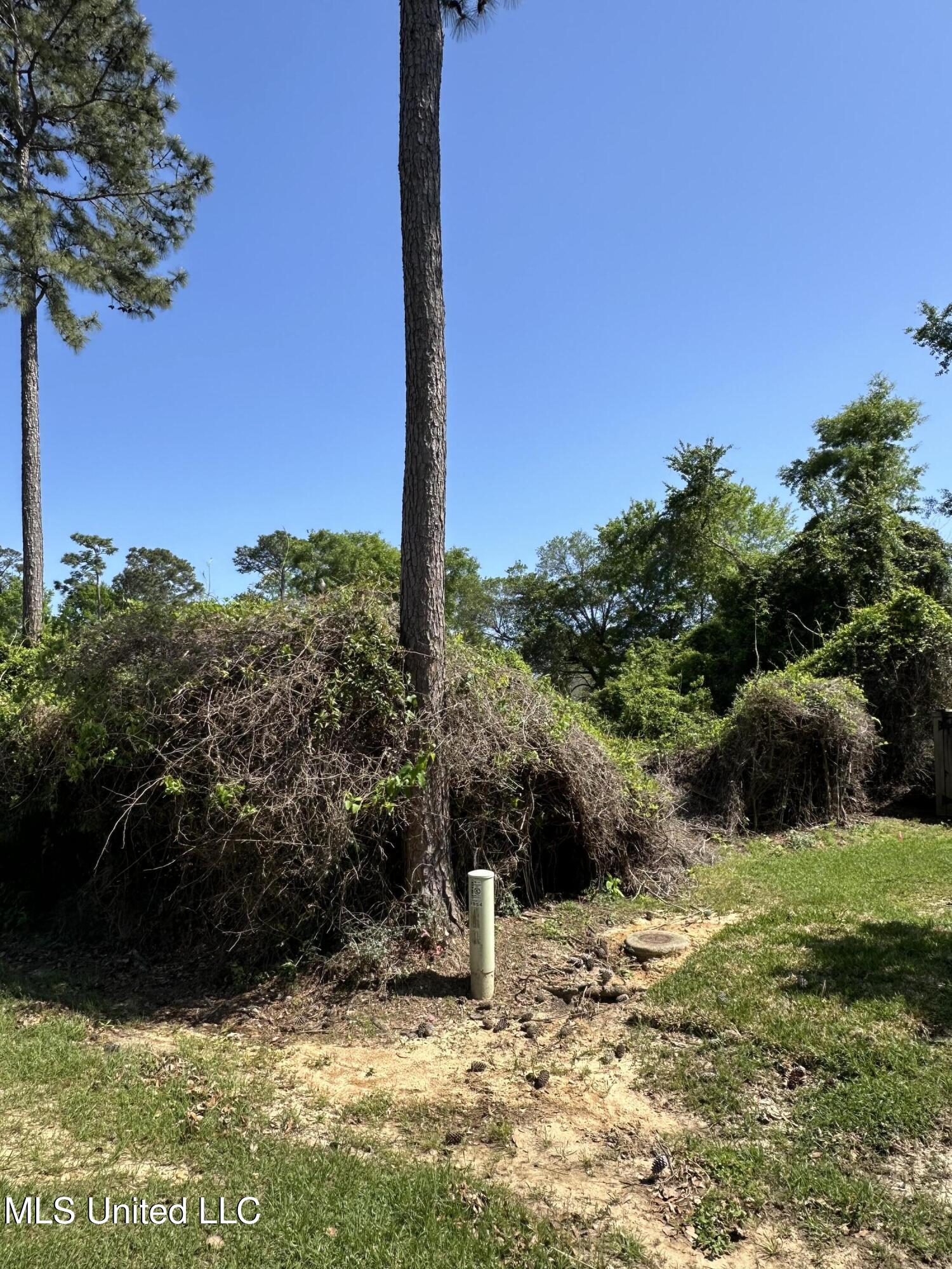 Poni Place Property Photo 6