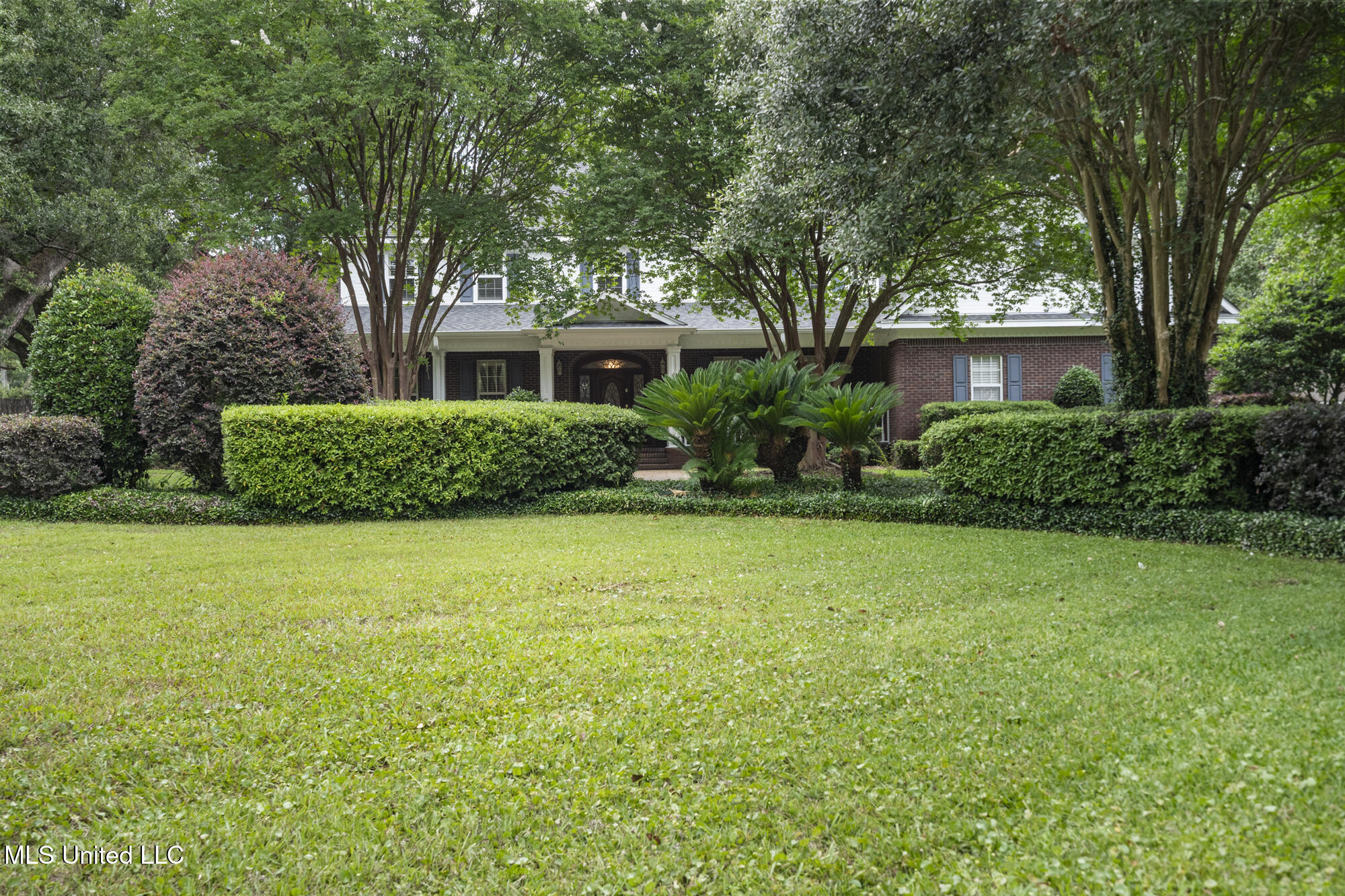 12918 Coles Cove Property Photo 6