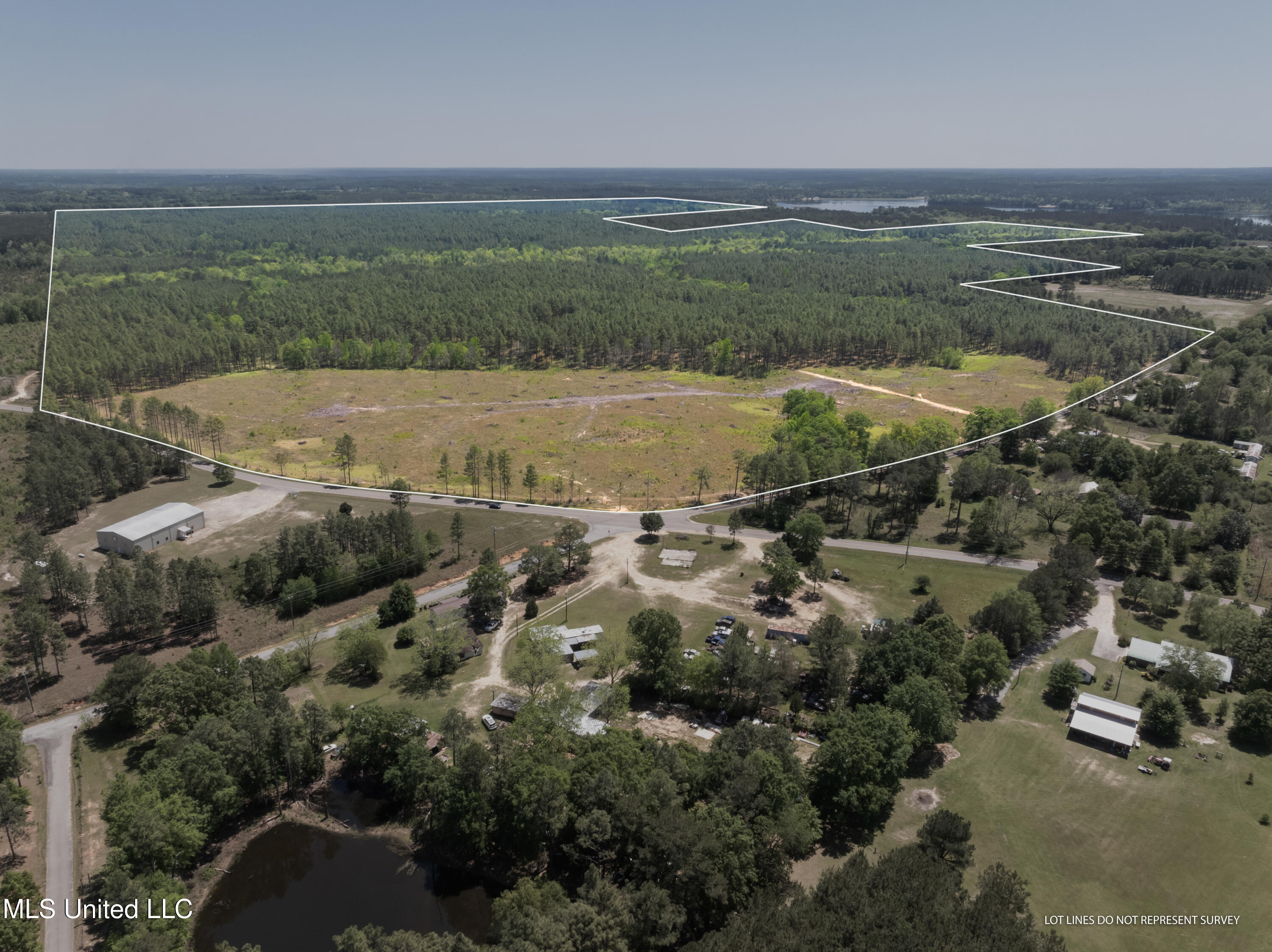 703 Ac +/- Purvis To Baxterville Road Property Photo 1