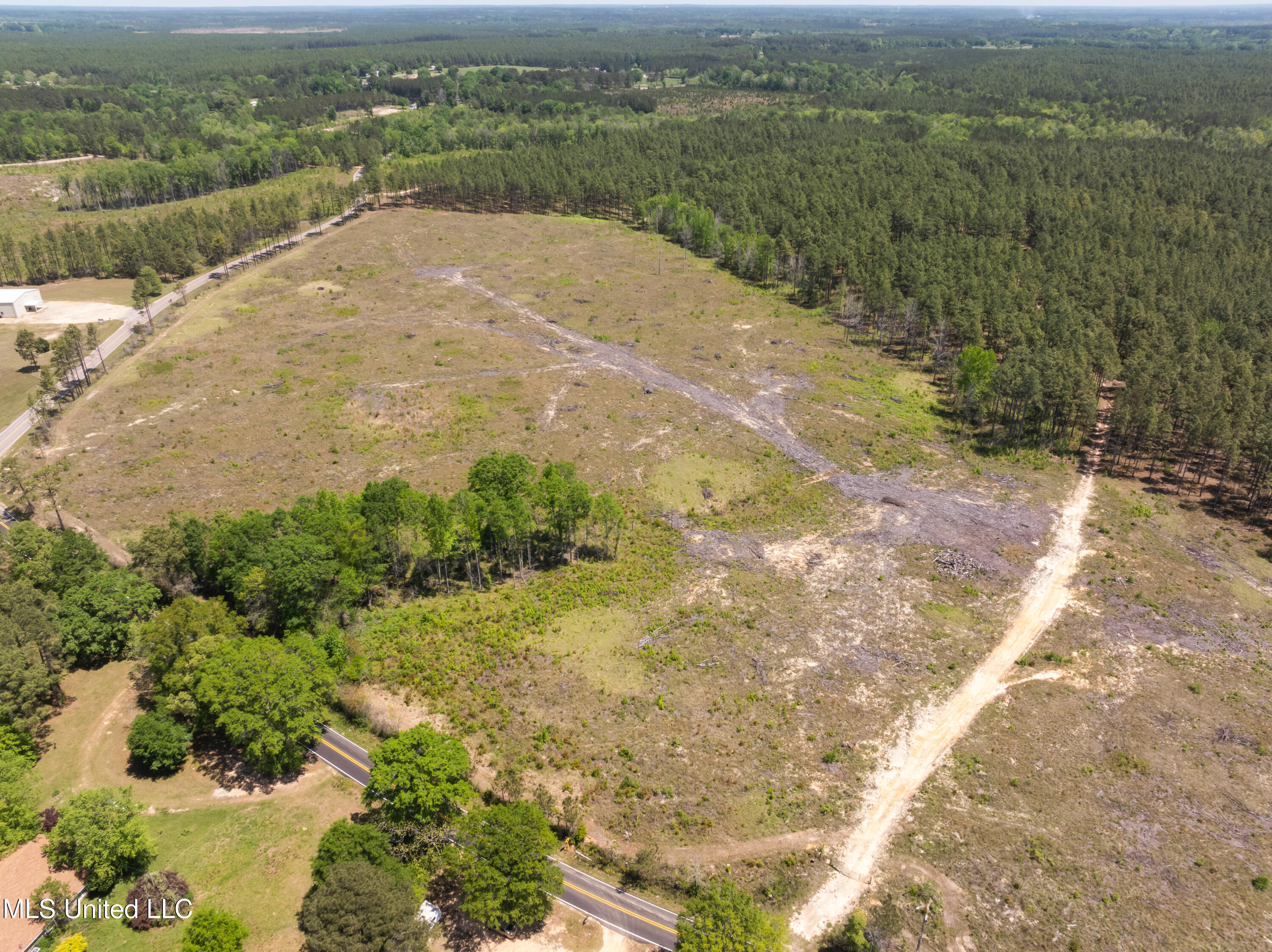 703 Ac +/- Purvis To Baxterville Road Property Photo 23