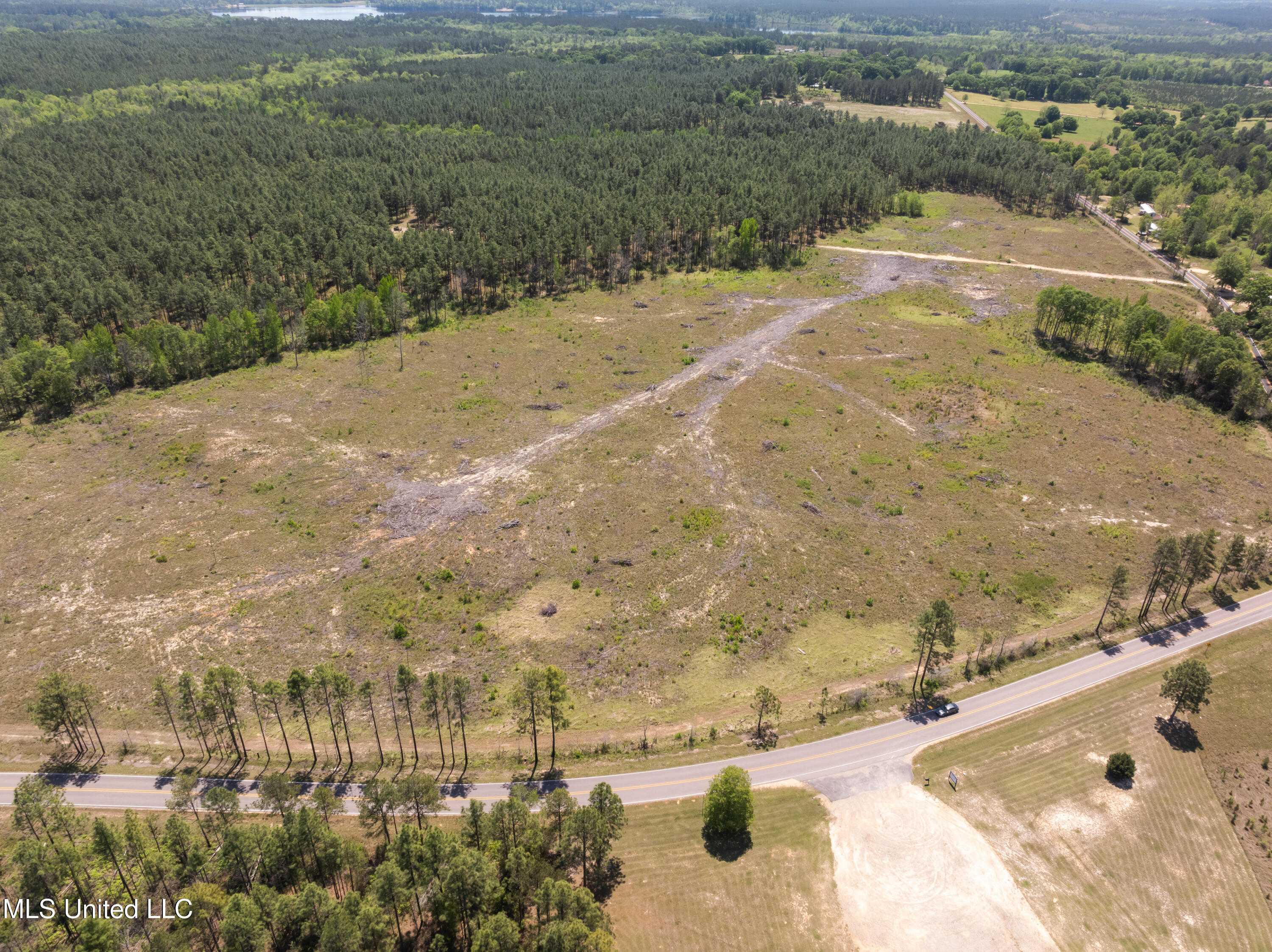 703 Ac +/- Purvis To Baxterville Road Property Photo 34