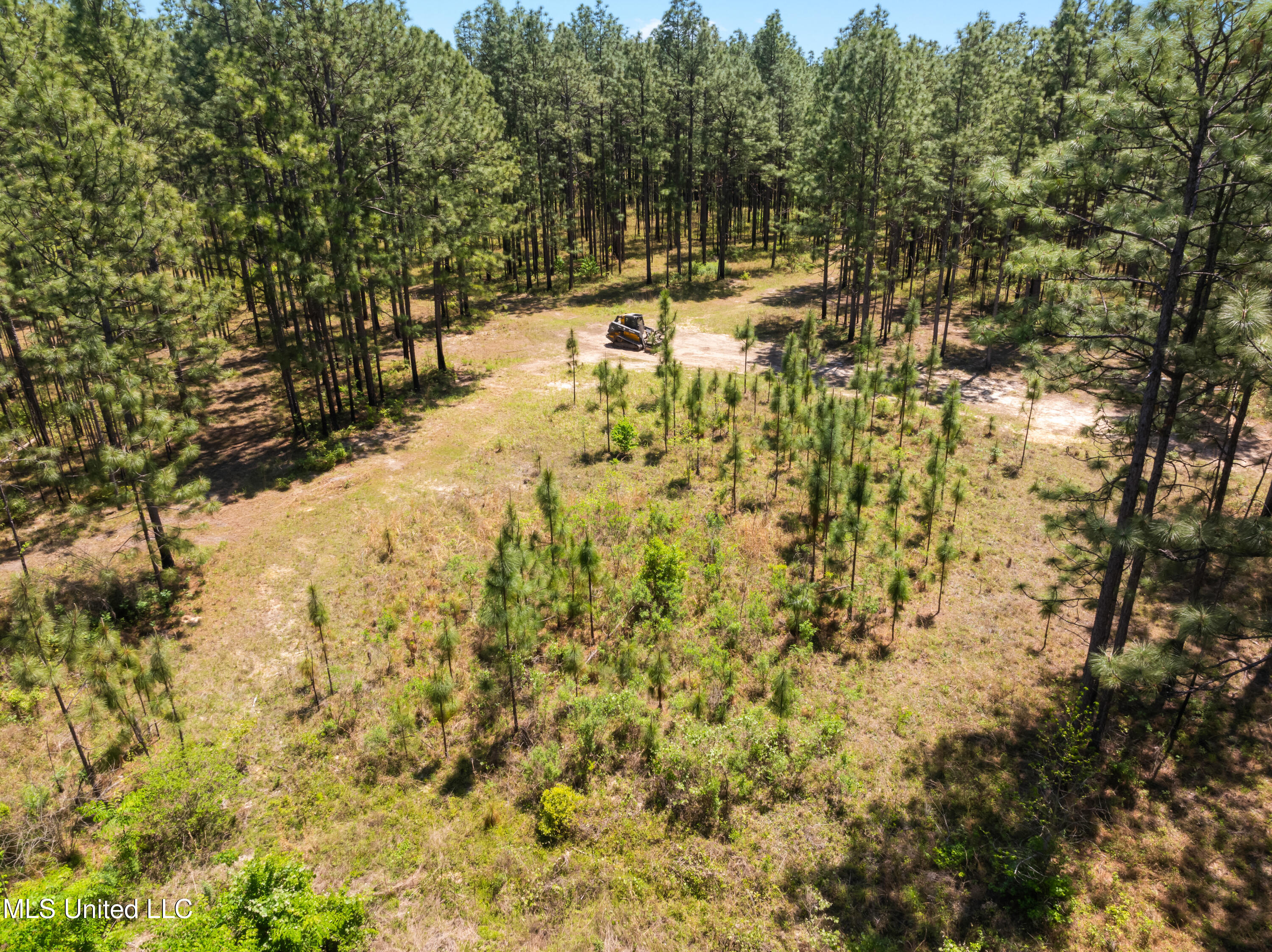 703 Ac +/- Purvis To Baxterville Road Property Photo 36