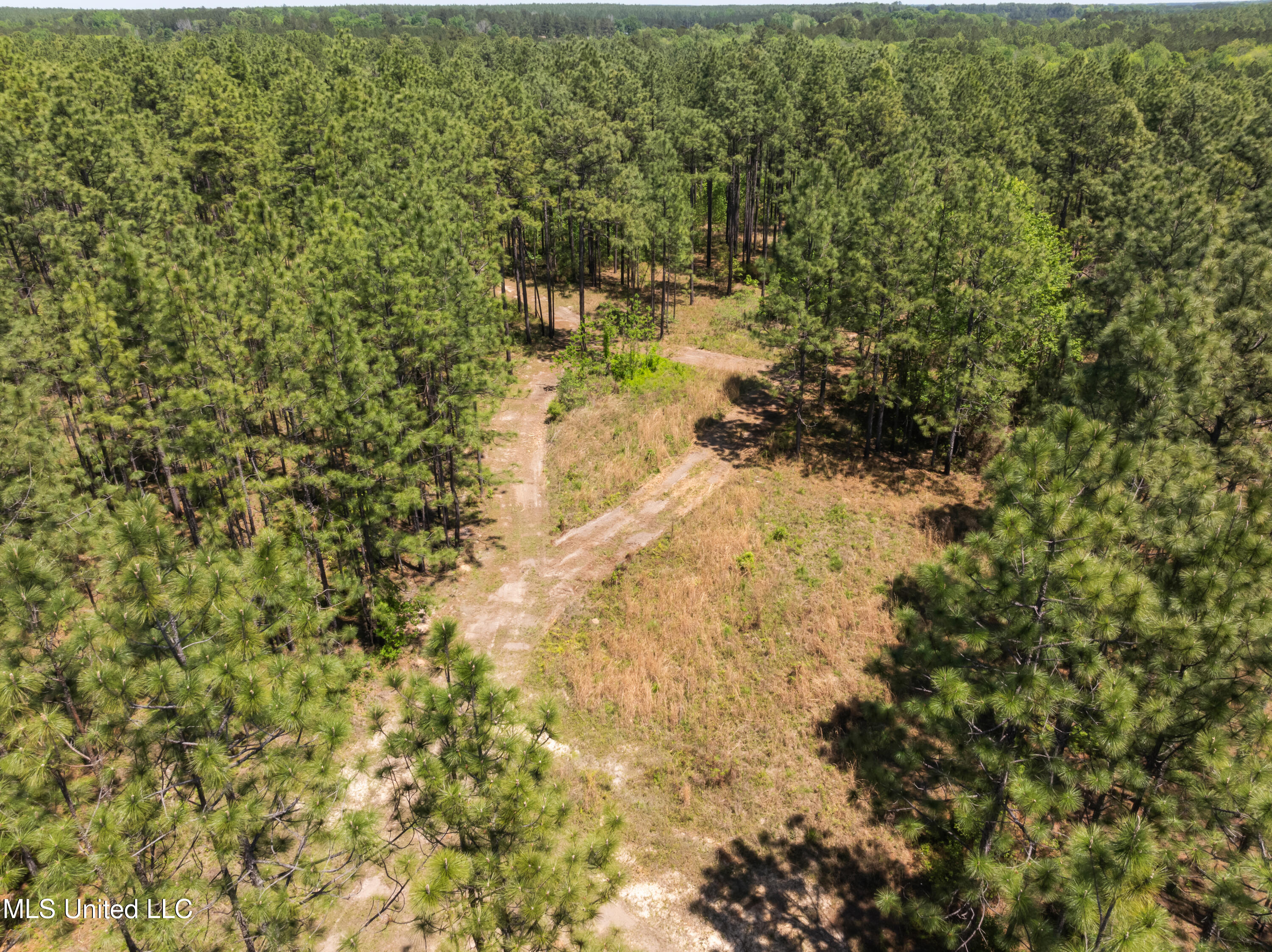 703 Ac +/- Purvis To Baxterville Road Property Photo 37