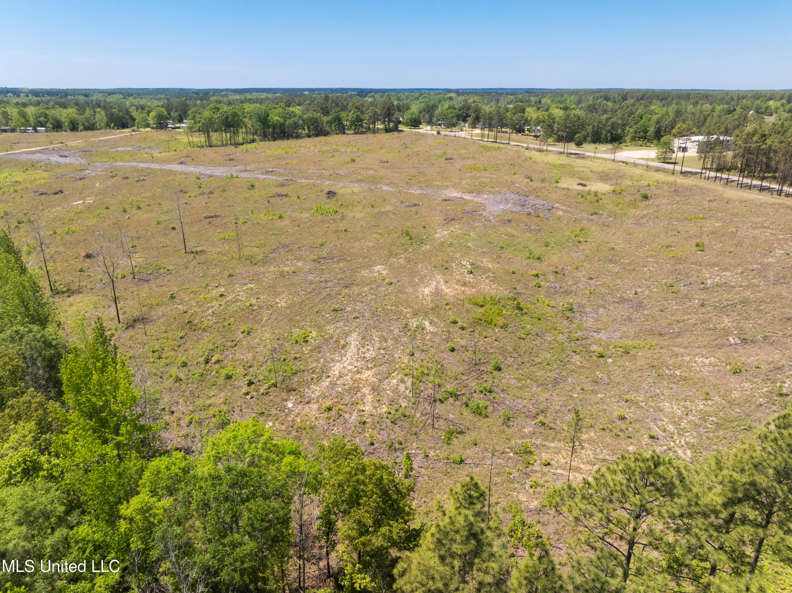 703 Ac +/- Purvis To Baxterville Road Property Photo 42