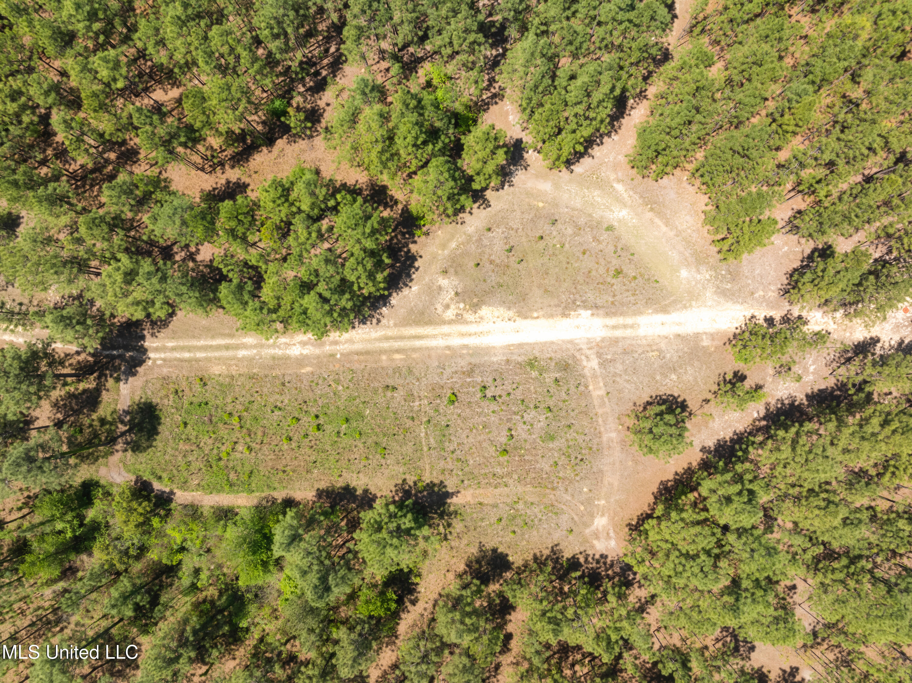 703 Ac +/- Purvis To Baxterville Road Property Photo 43