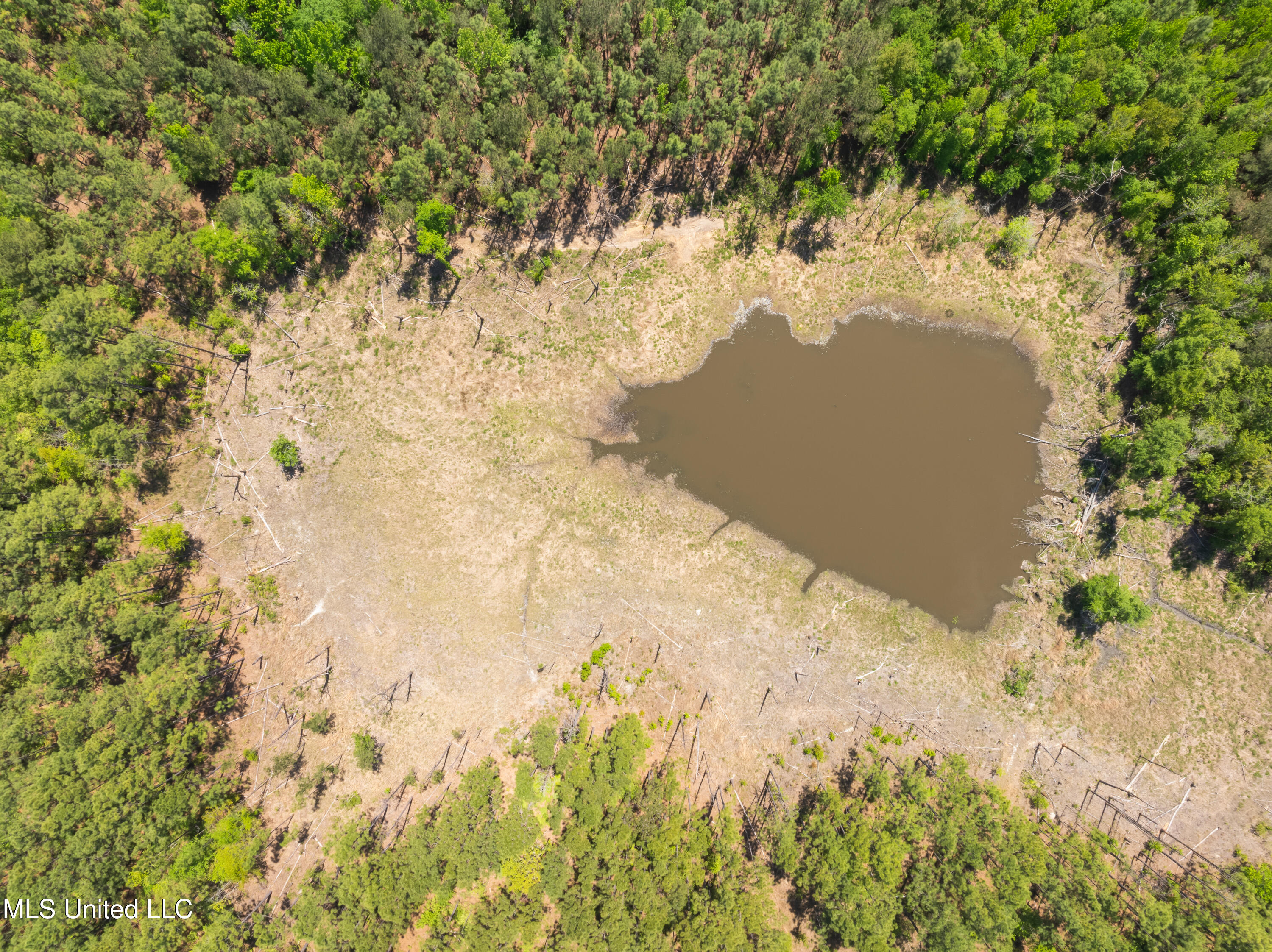 703 Ac +/- Purvis To Baxterville Road Property Photo 44