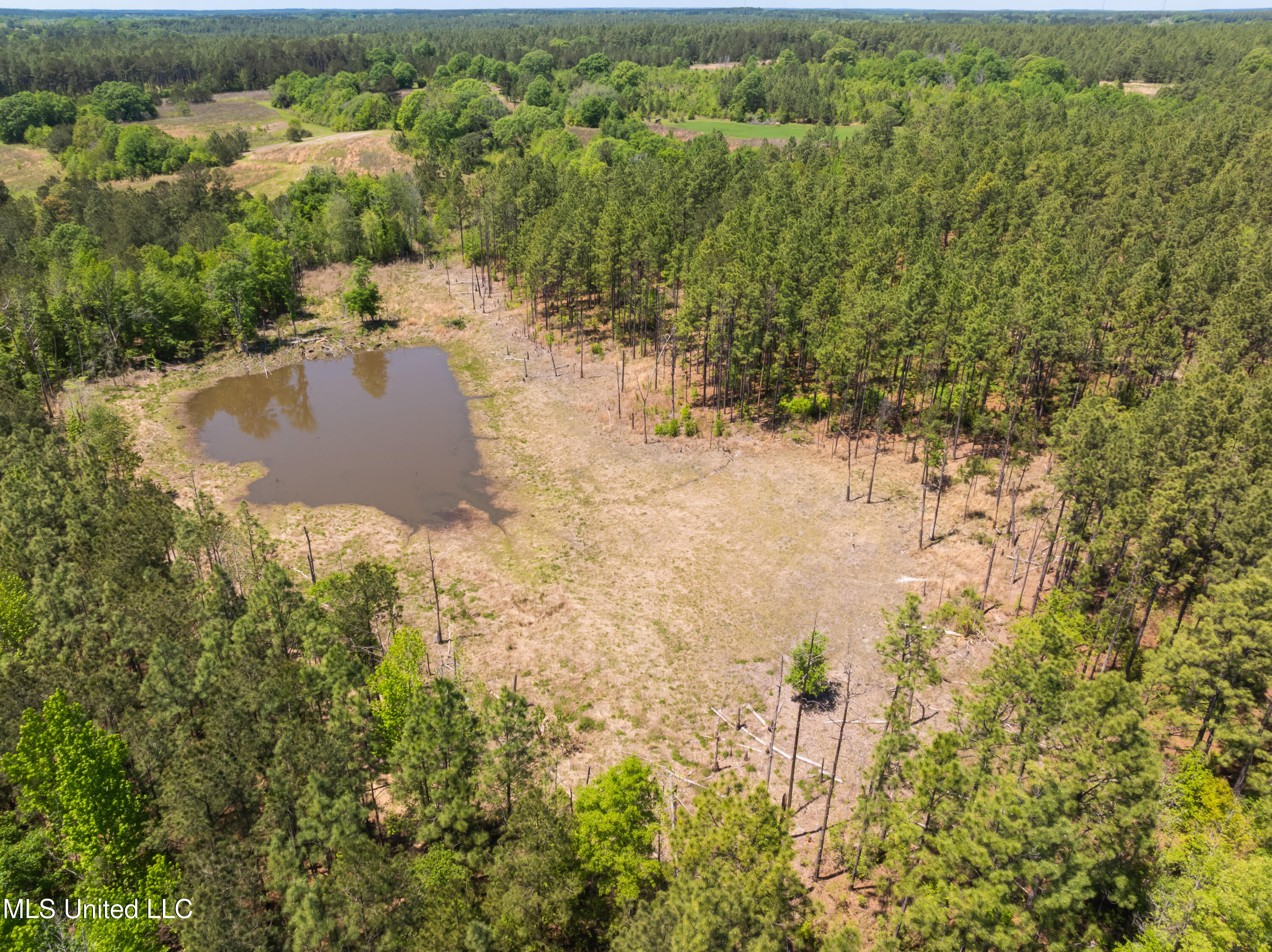 703 Ac +/- Purvis To Baxterville Road Property Photo 45