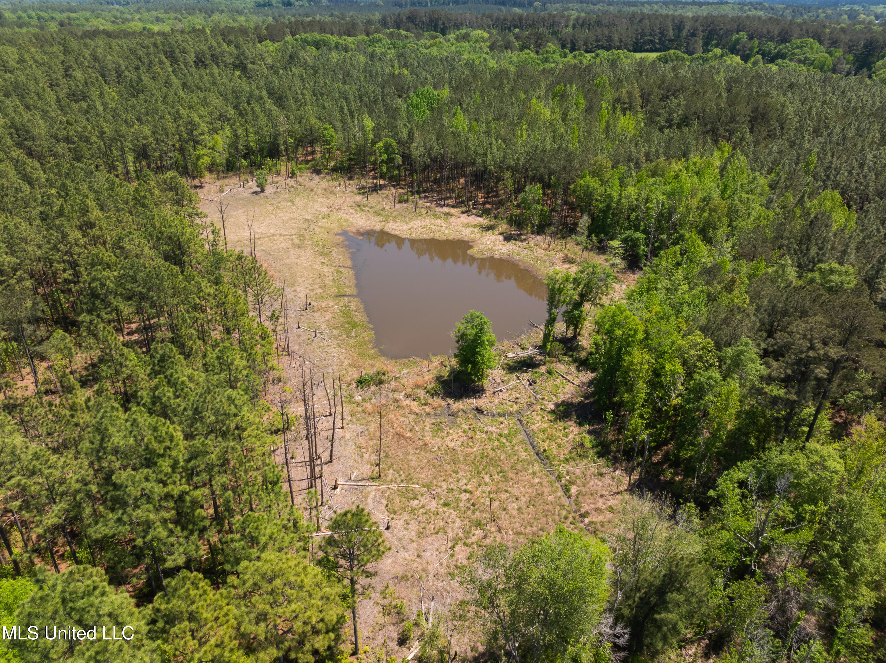 703 Ac +/- Purvis To Baxterville Road Property Photo 46