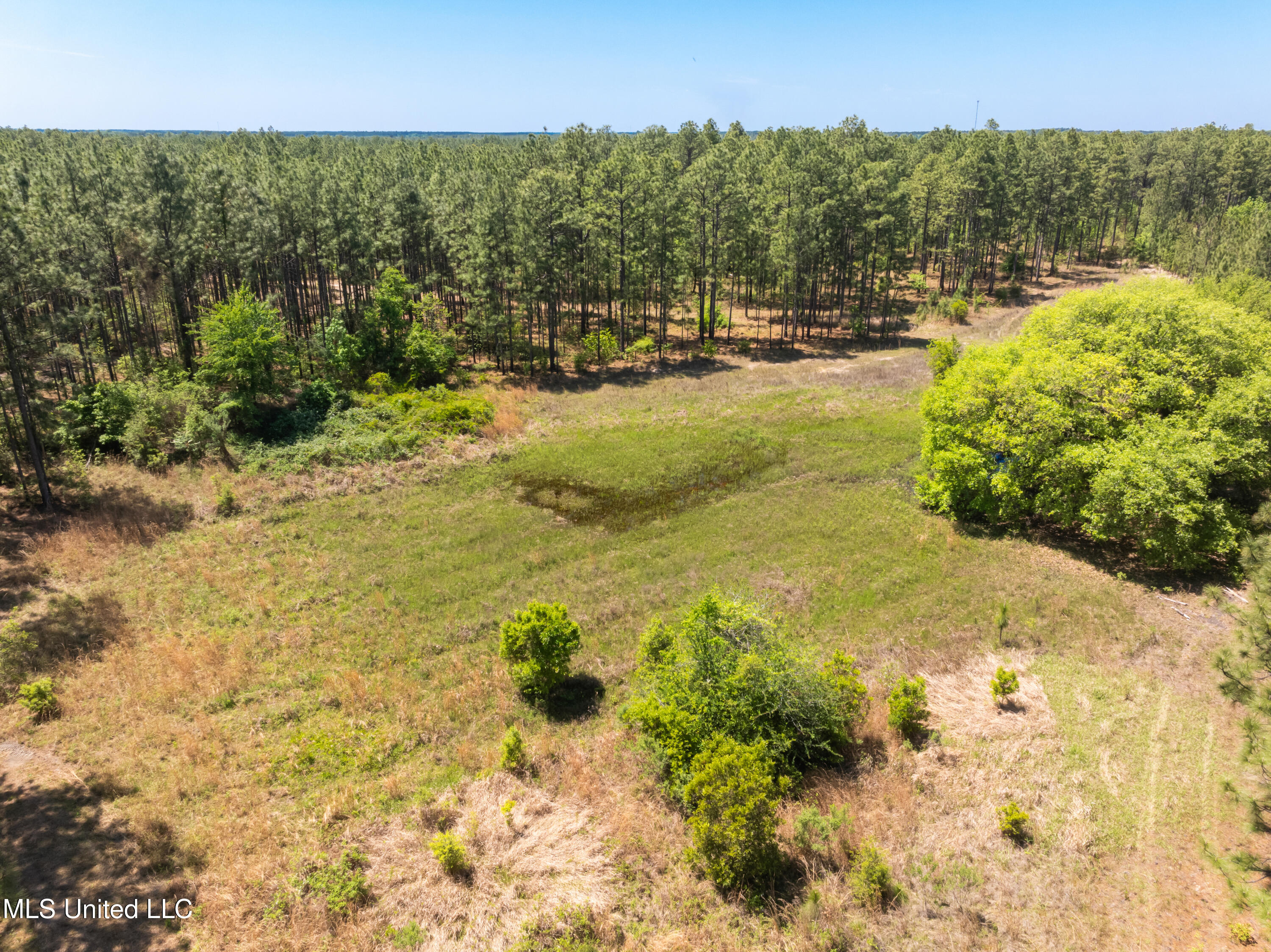 703 Ac +/- Purvis To Baxterville Road Property Photo 47