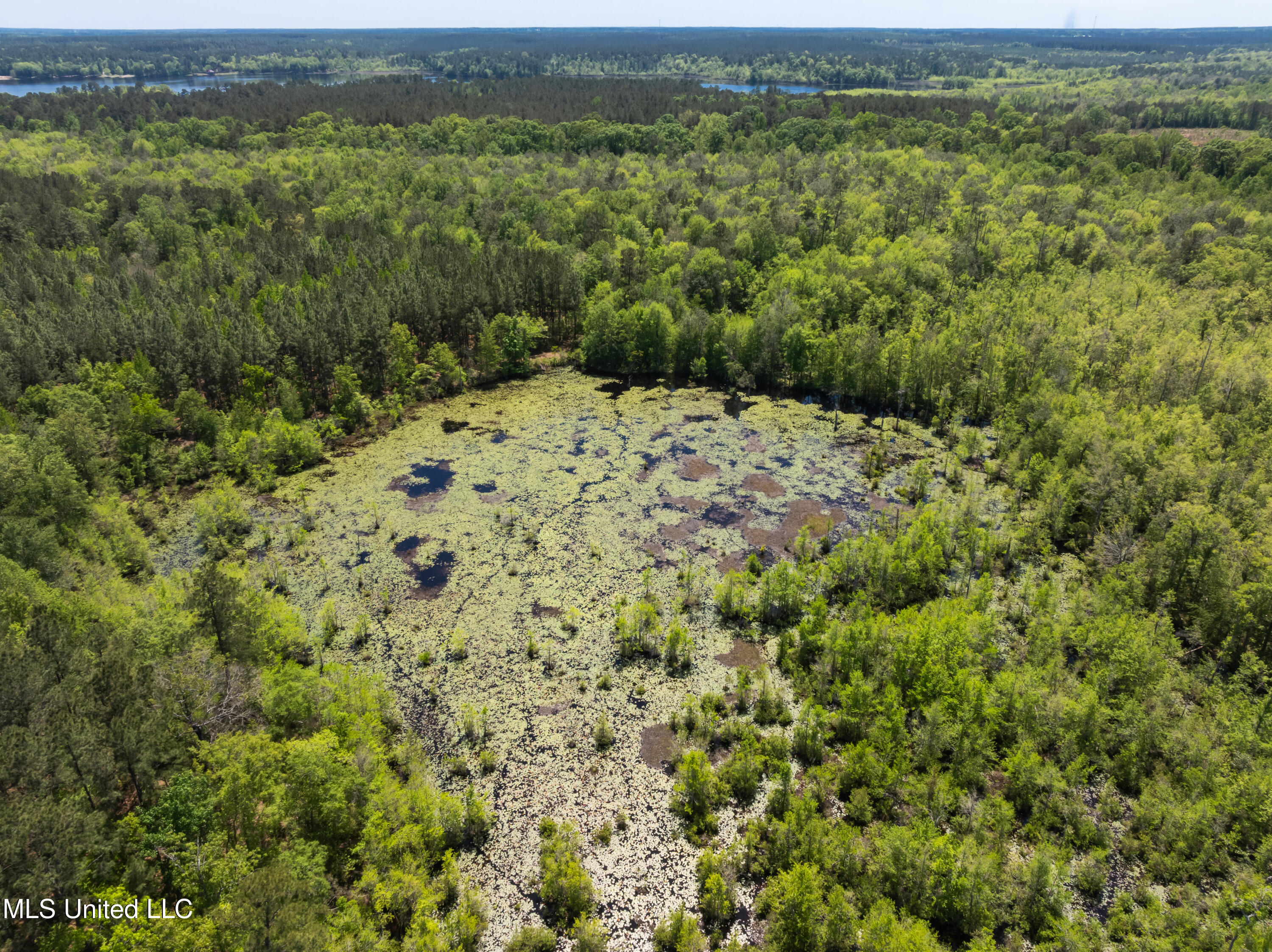 703 Ac +/- Purvis To Baxterville Road Property Photo 49