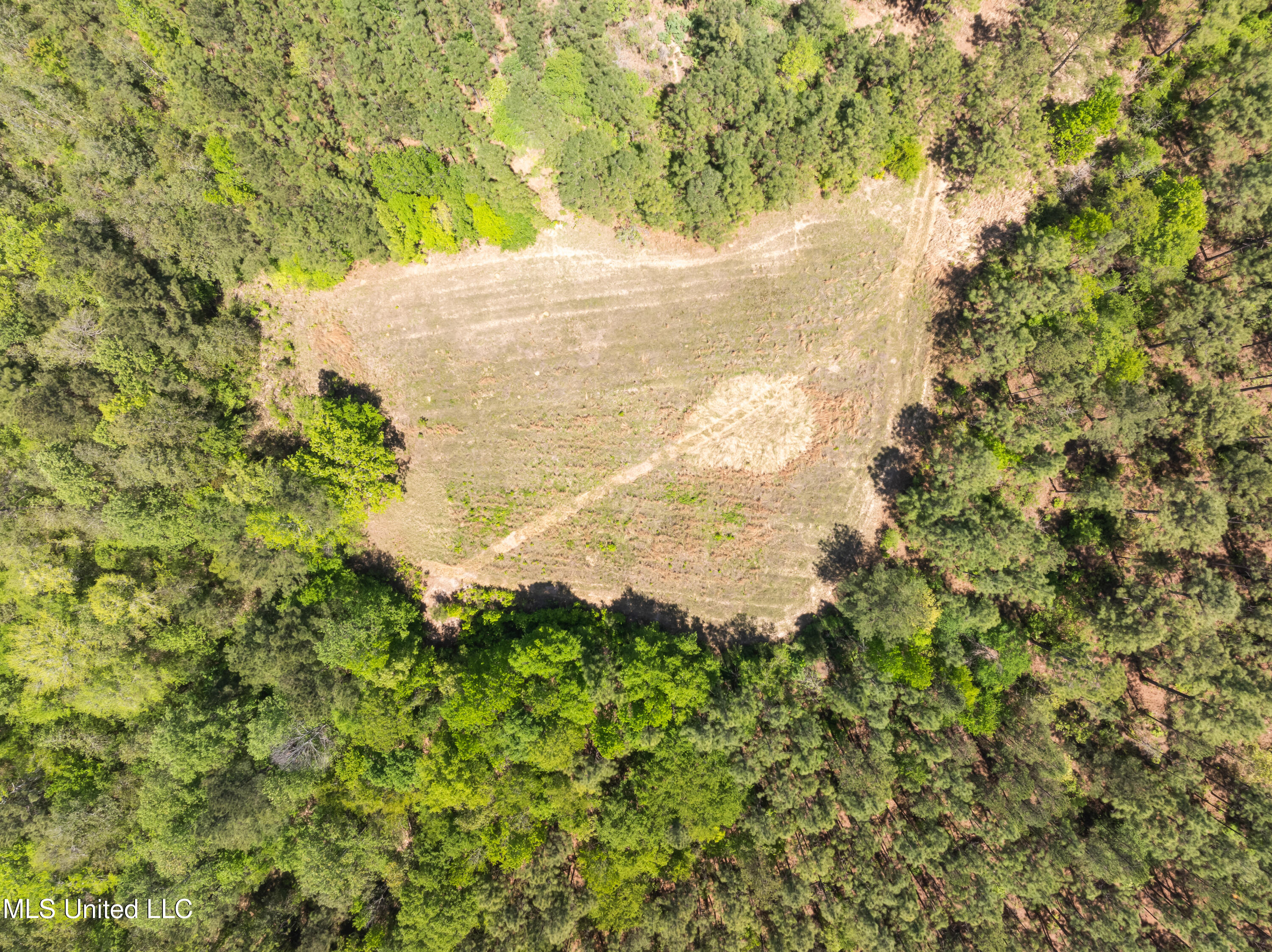 703 Ac +/- Purvis To Baxterville Road Property Photo 50